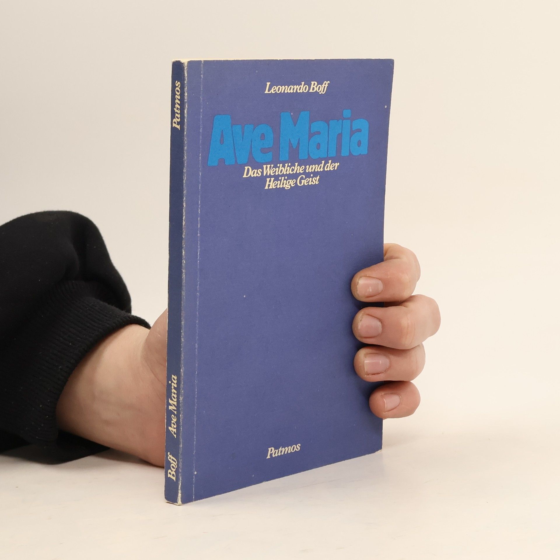 Leonardo Boff Ave Maria