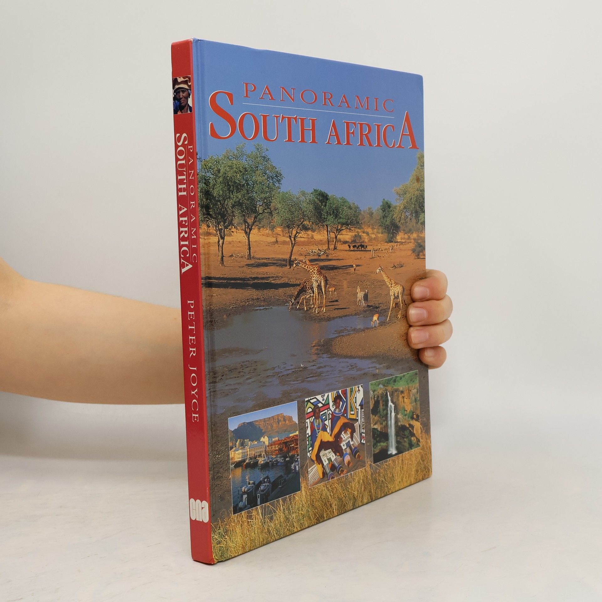 Peter Joyce Panoramic South Africa