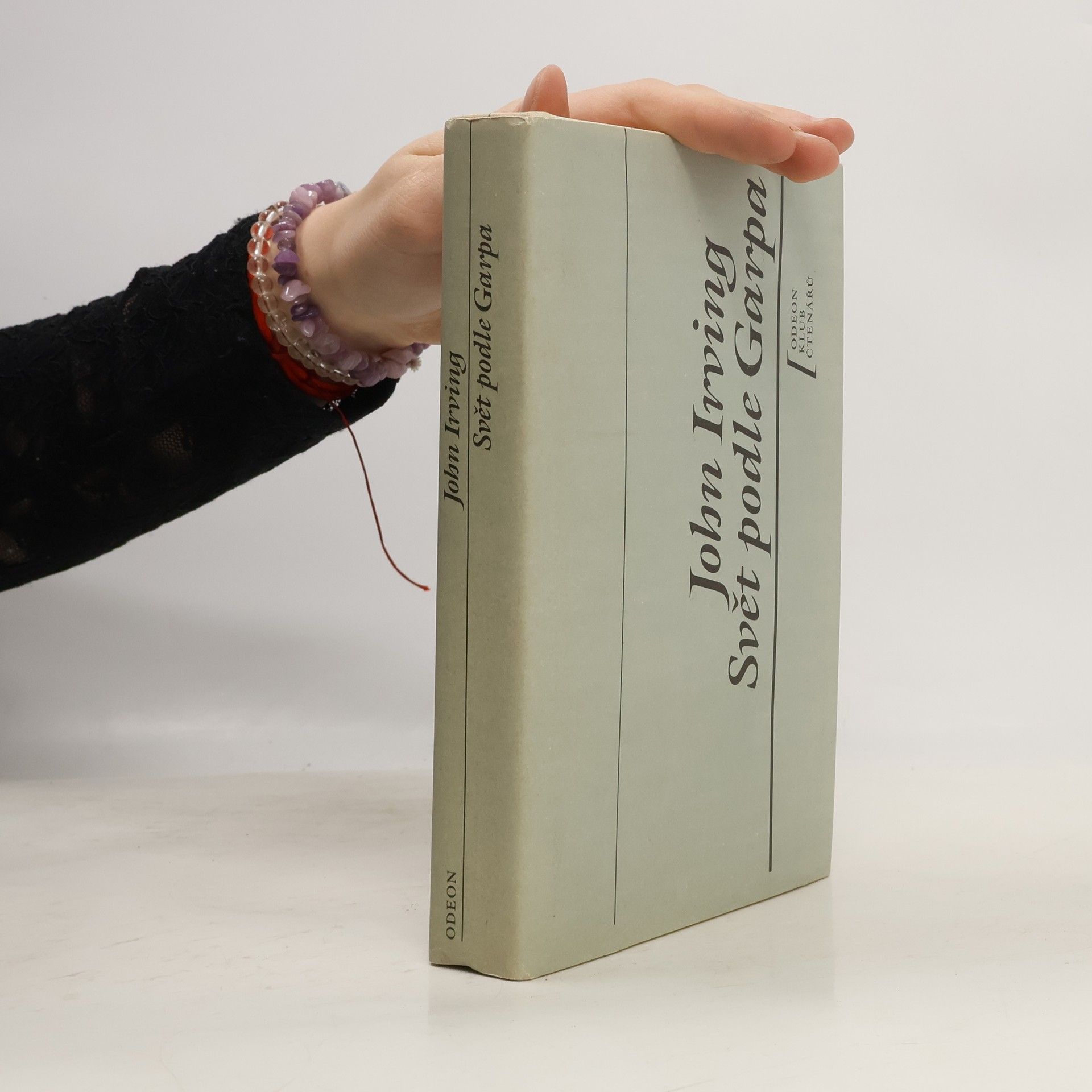 John Irving Svět podle Garpa