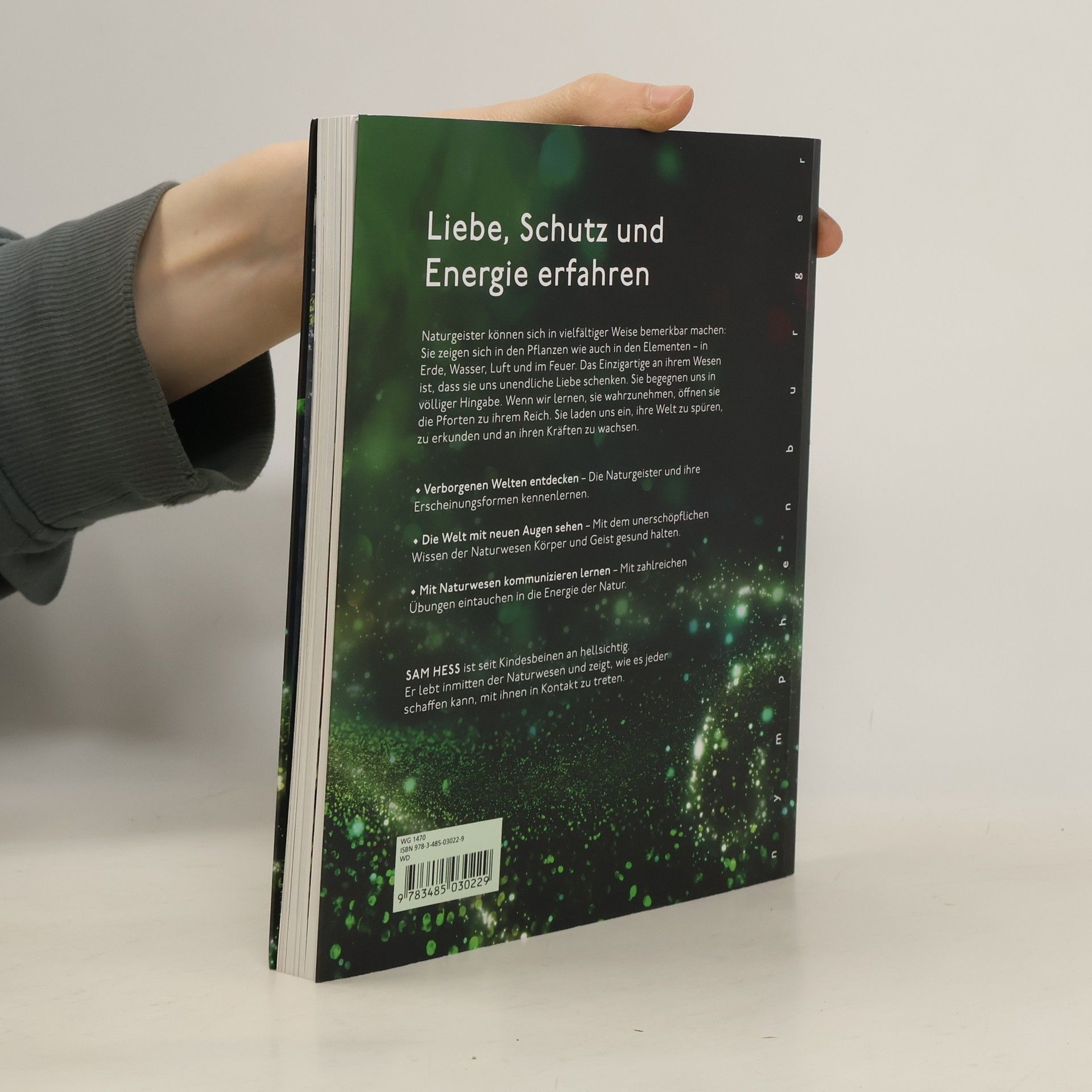 Sam Hess Die Welt der Naturgeister