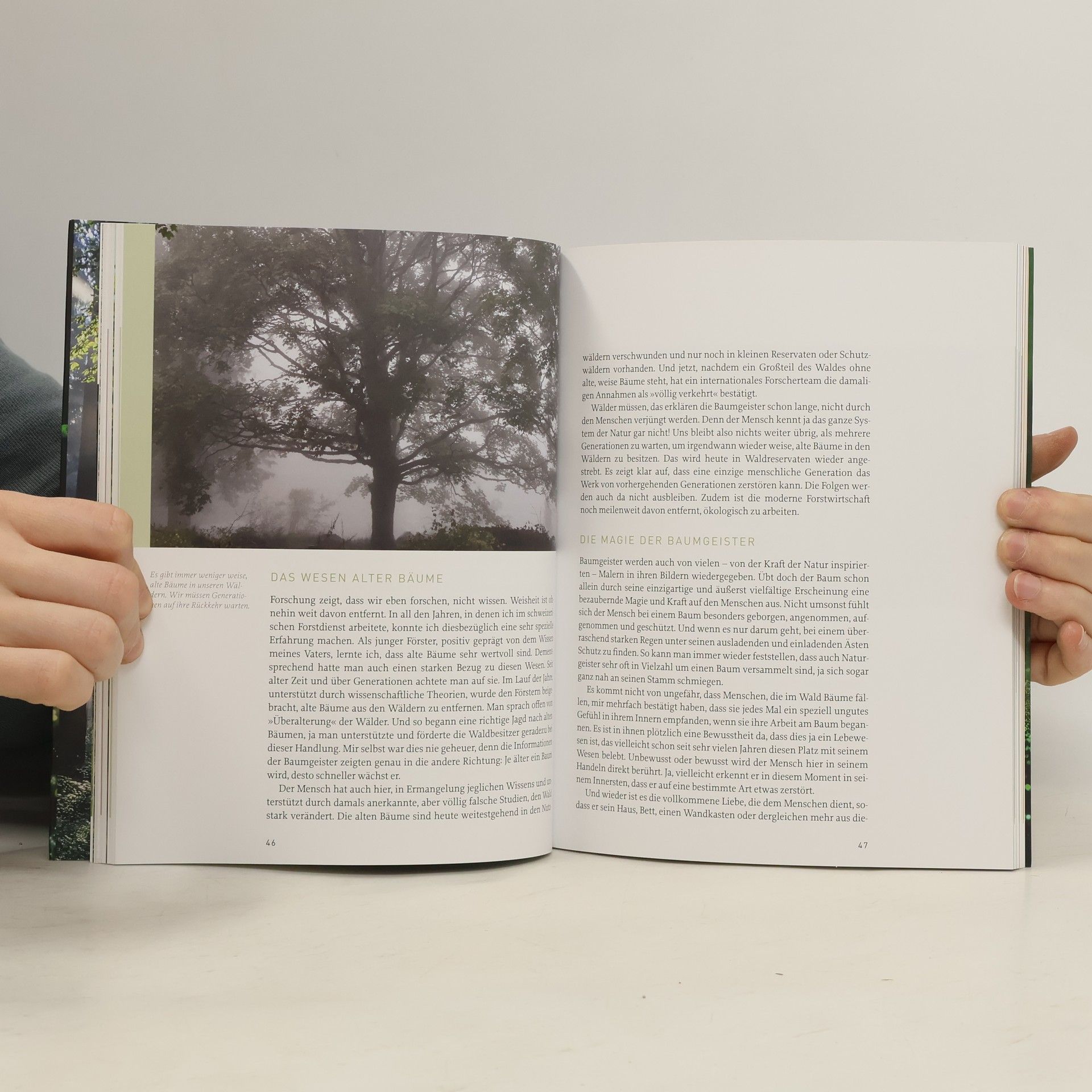 Sam Hess Die Welt der Naturgeister