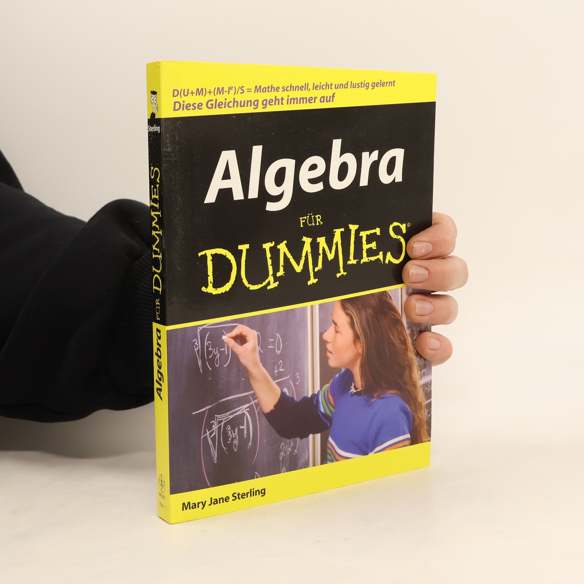 Mary Jane Sterling Algebra für Dummies
