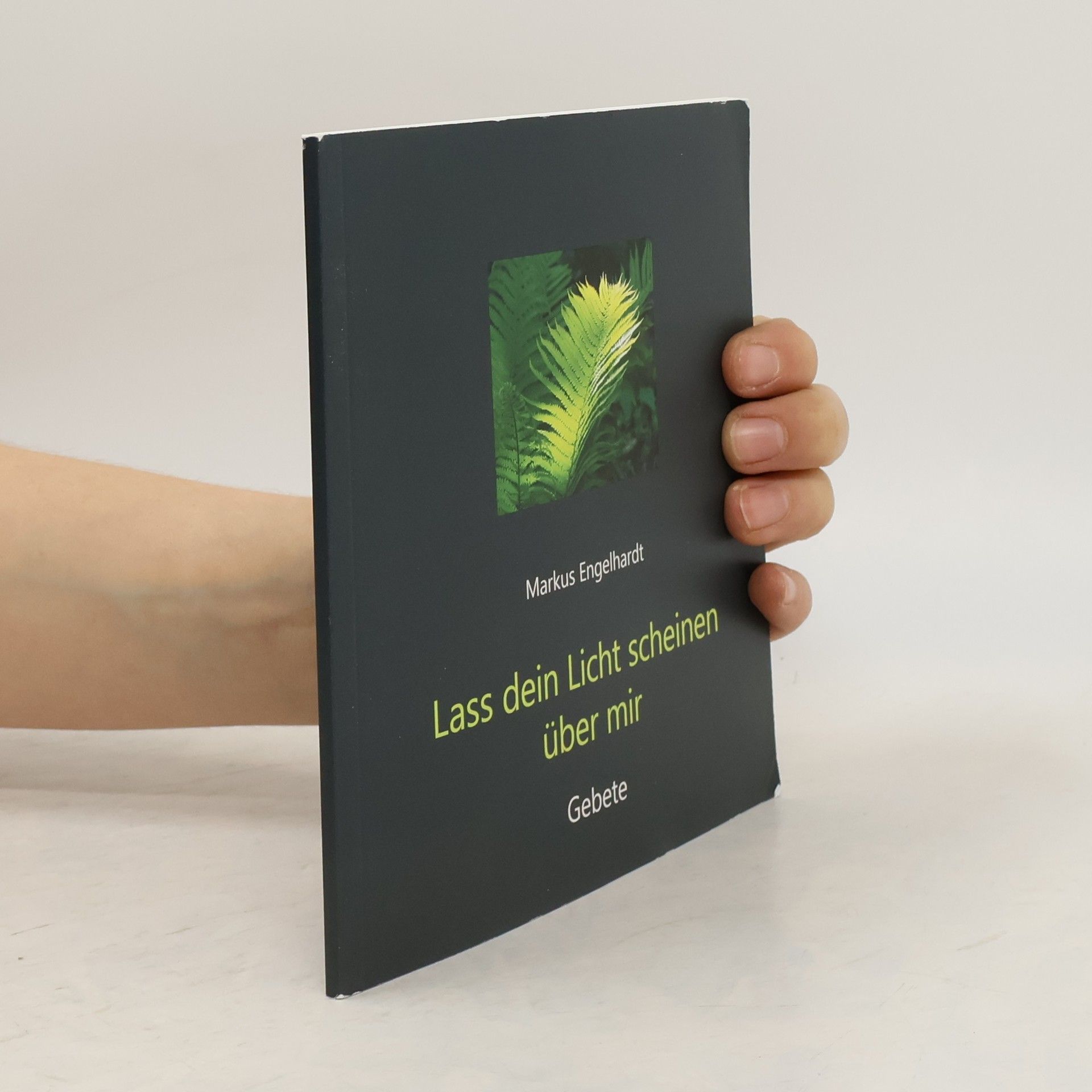 Markus Engelhardt Lass dein Licht scheinen über mir
