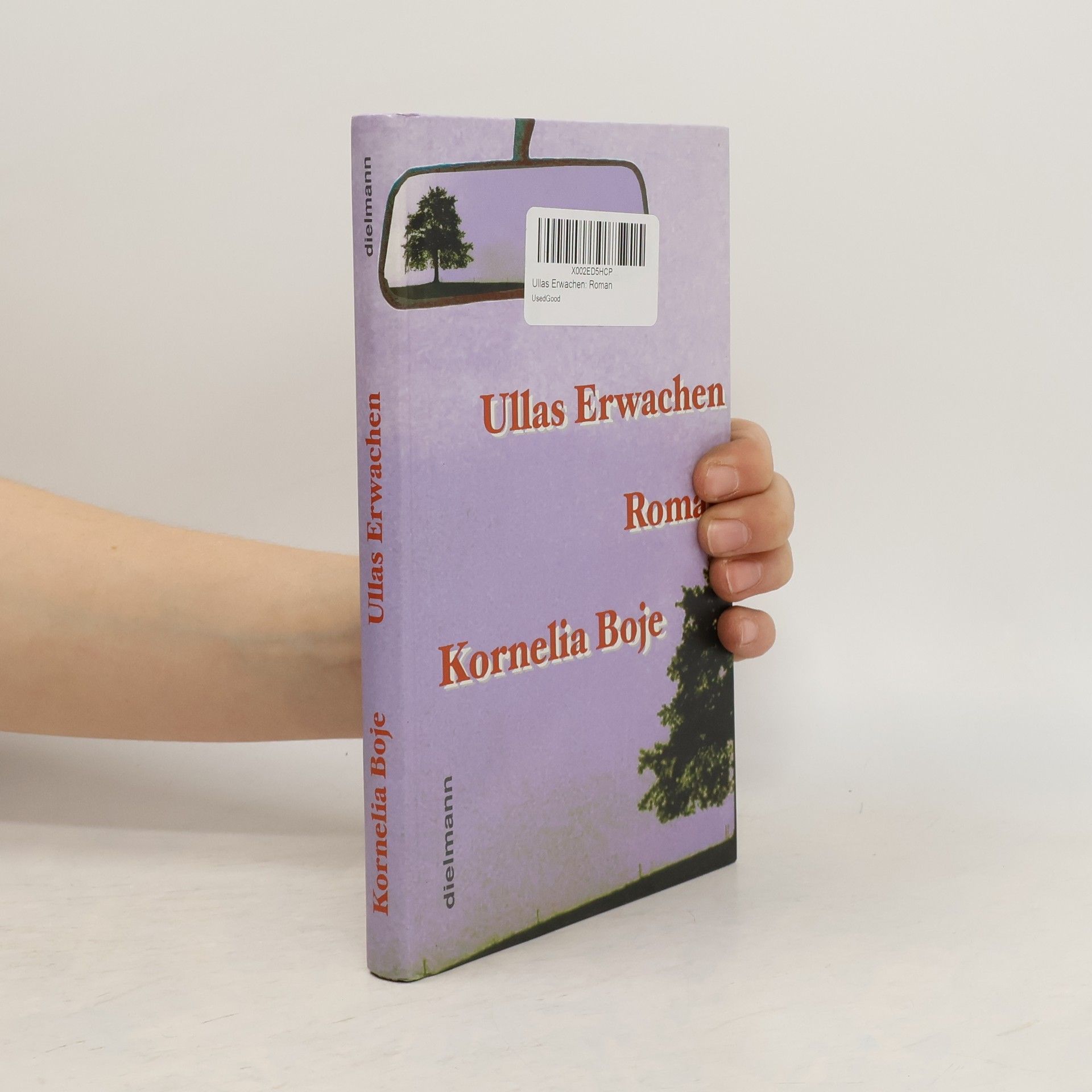 Kornelia Boje Ullas Erwachen