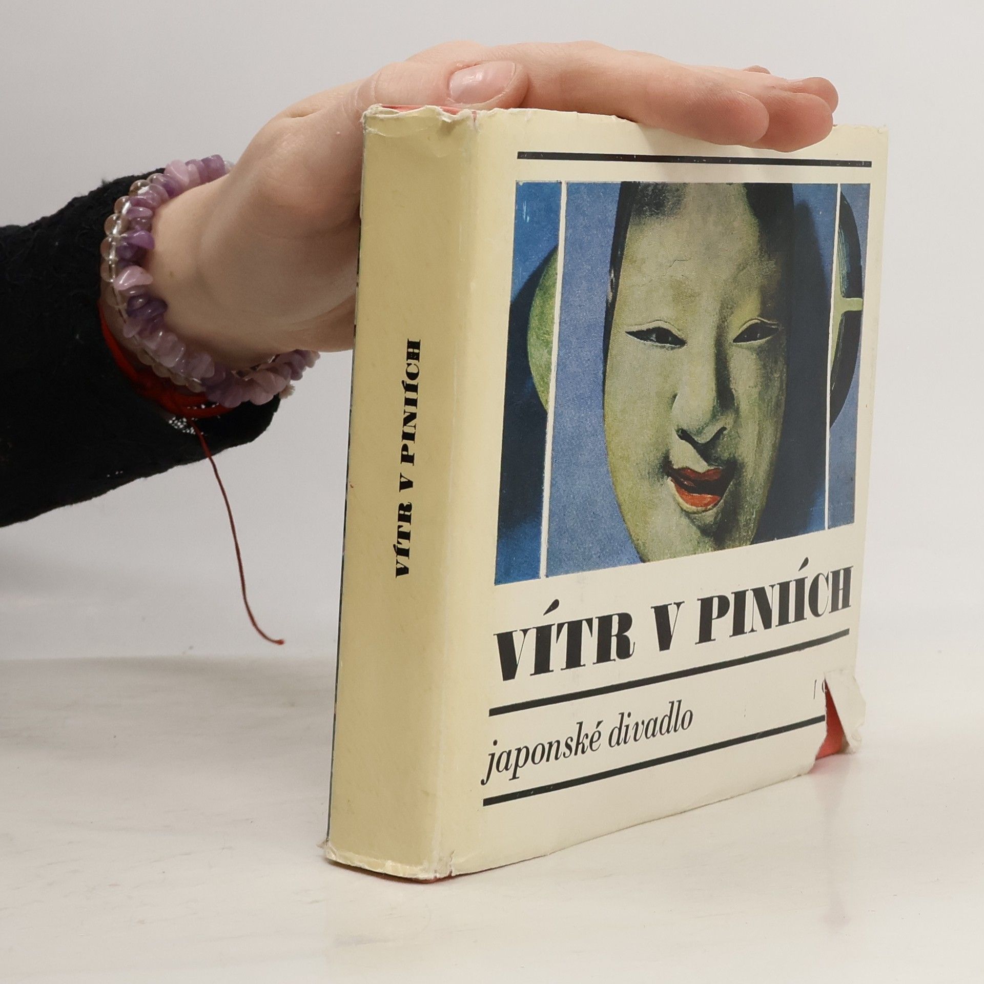 Collectif d'auteurs Vítr v piniích. Japonské divadlo