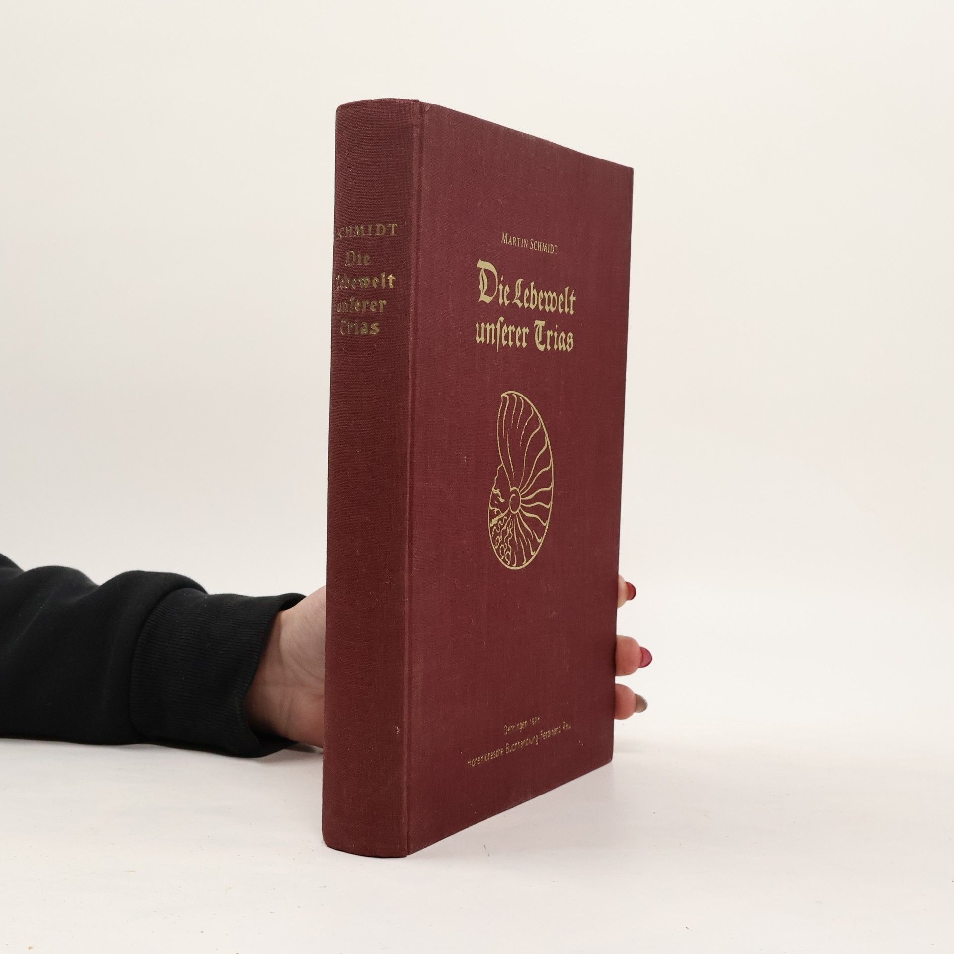 Die Lebewelt unserer Trias