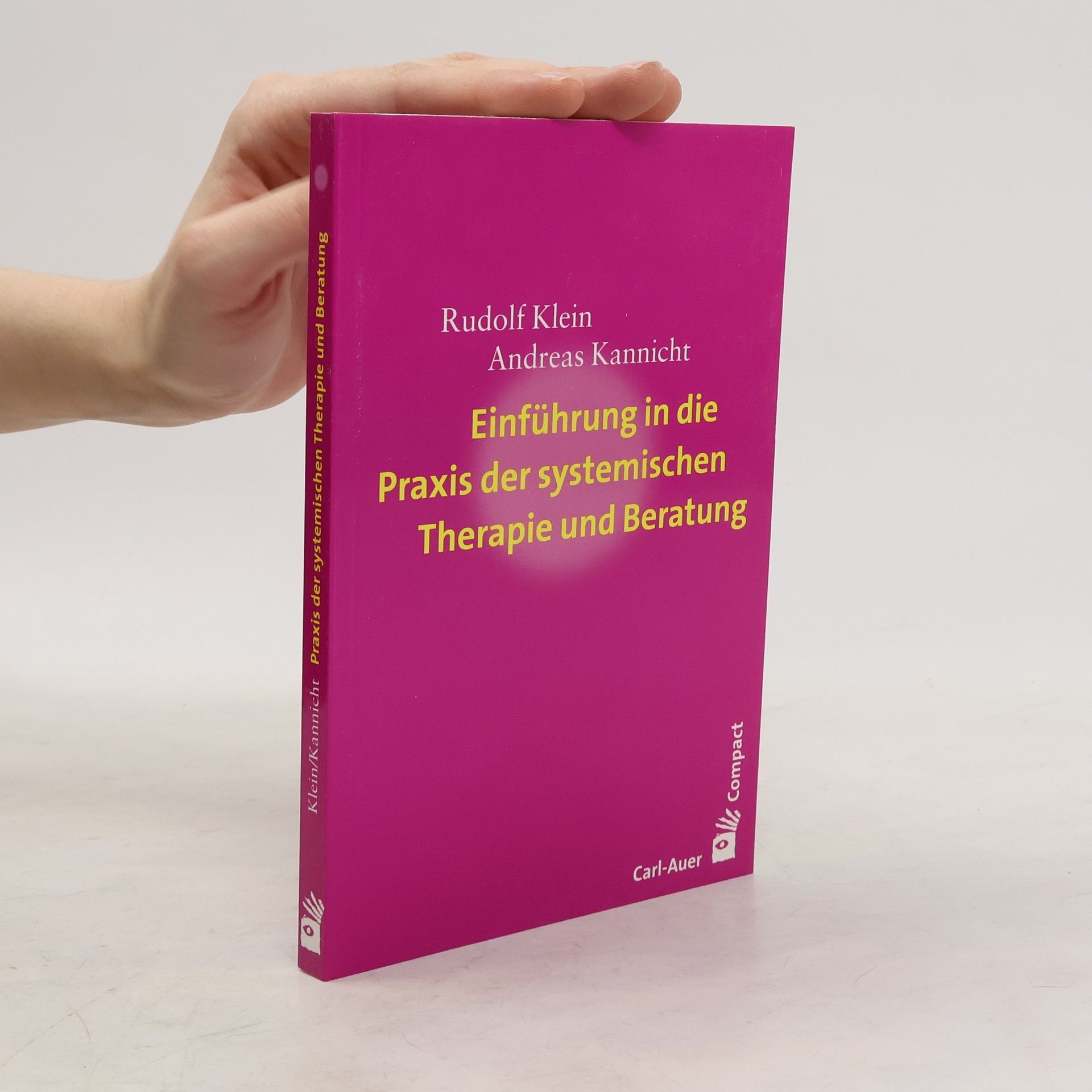 Rudolf Klein Einführung in die Praxis der systemischen Therapie und Beratung