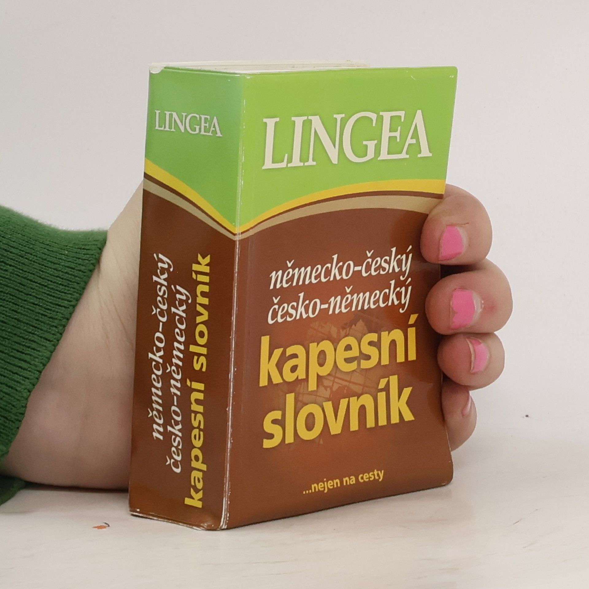 Autorenkollektiv Německo-český, česko-německý kapesní slovník