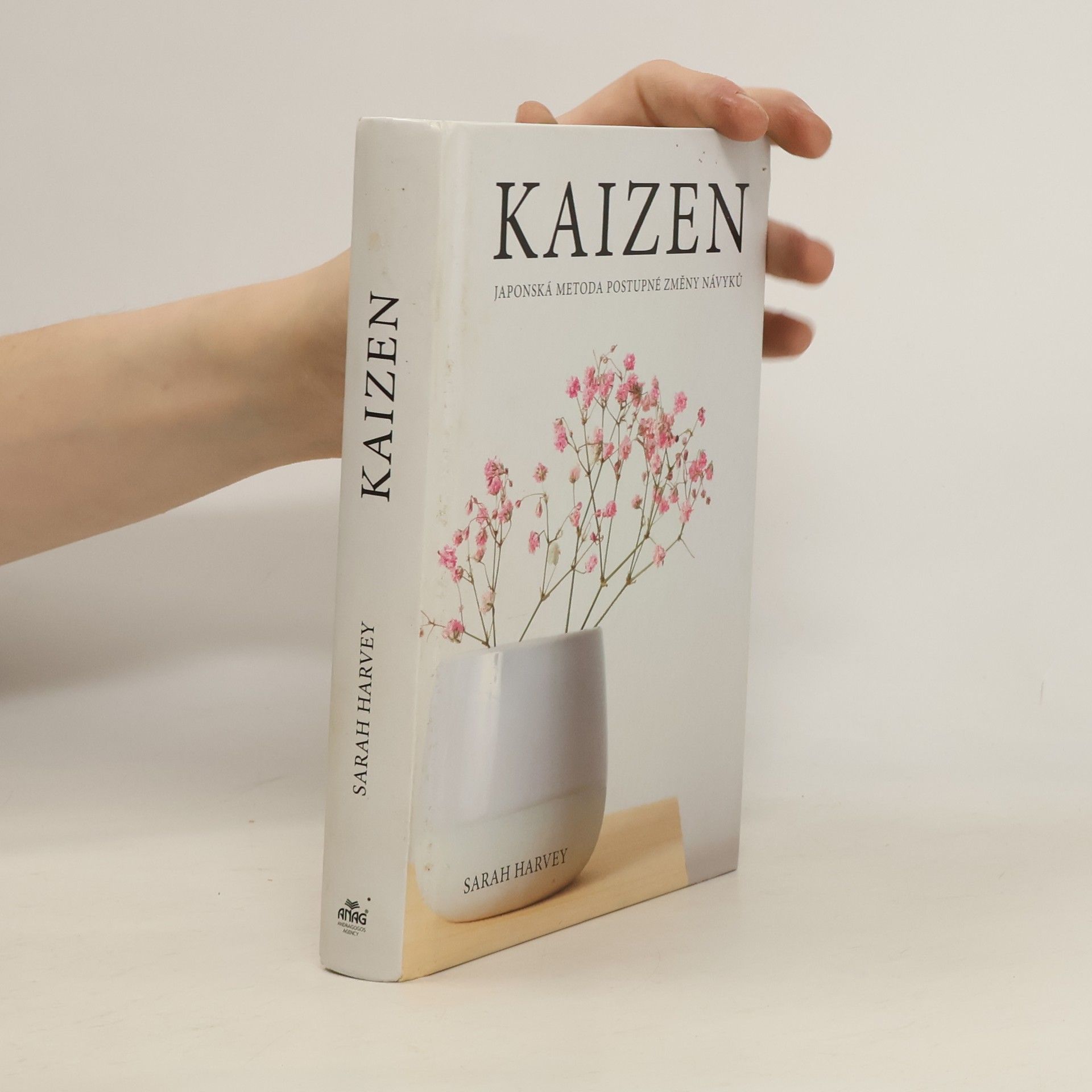 Sarah Harvey Kaizen: Japonská metoda postupné změny návyků