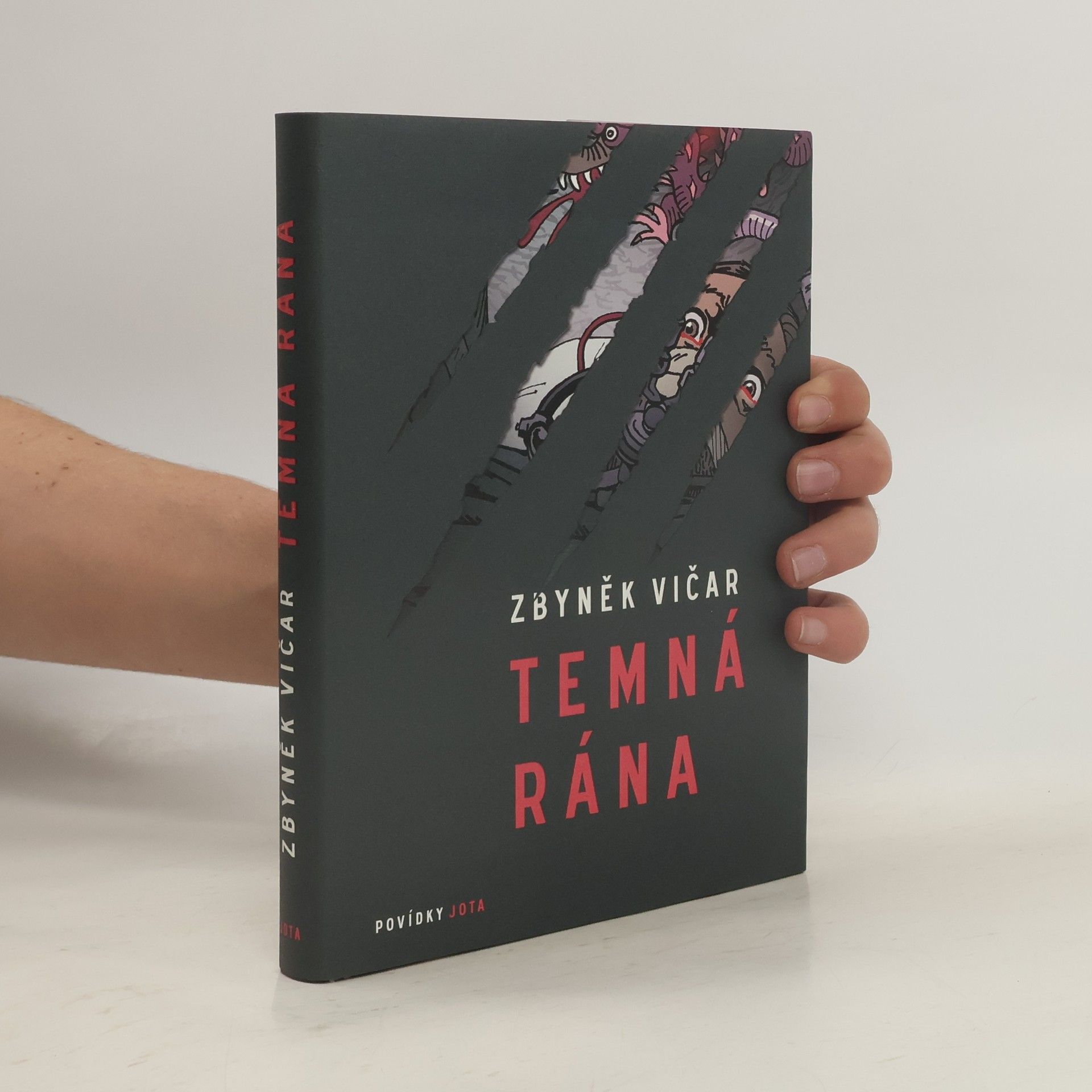 Zbyněk Vičar Temná rána