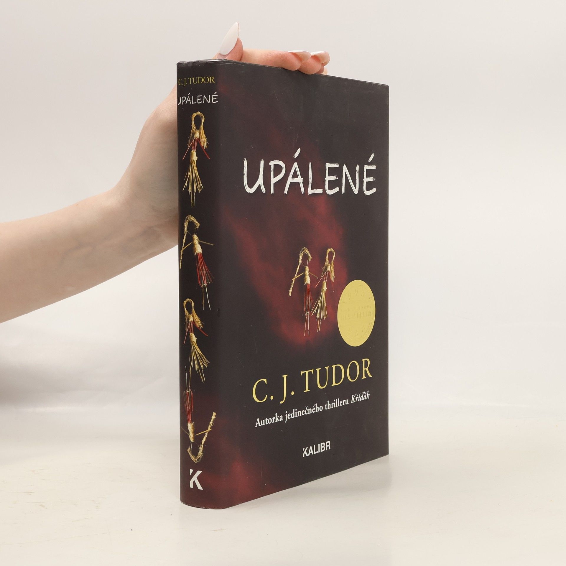 C. J. Tudor Upálené
