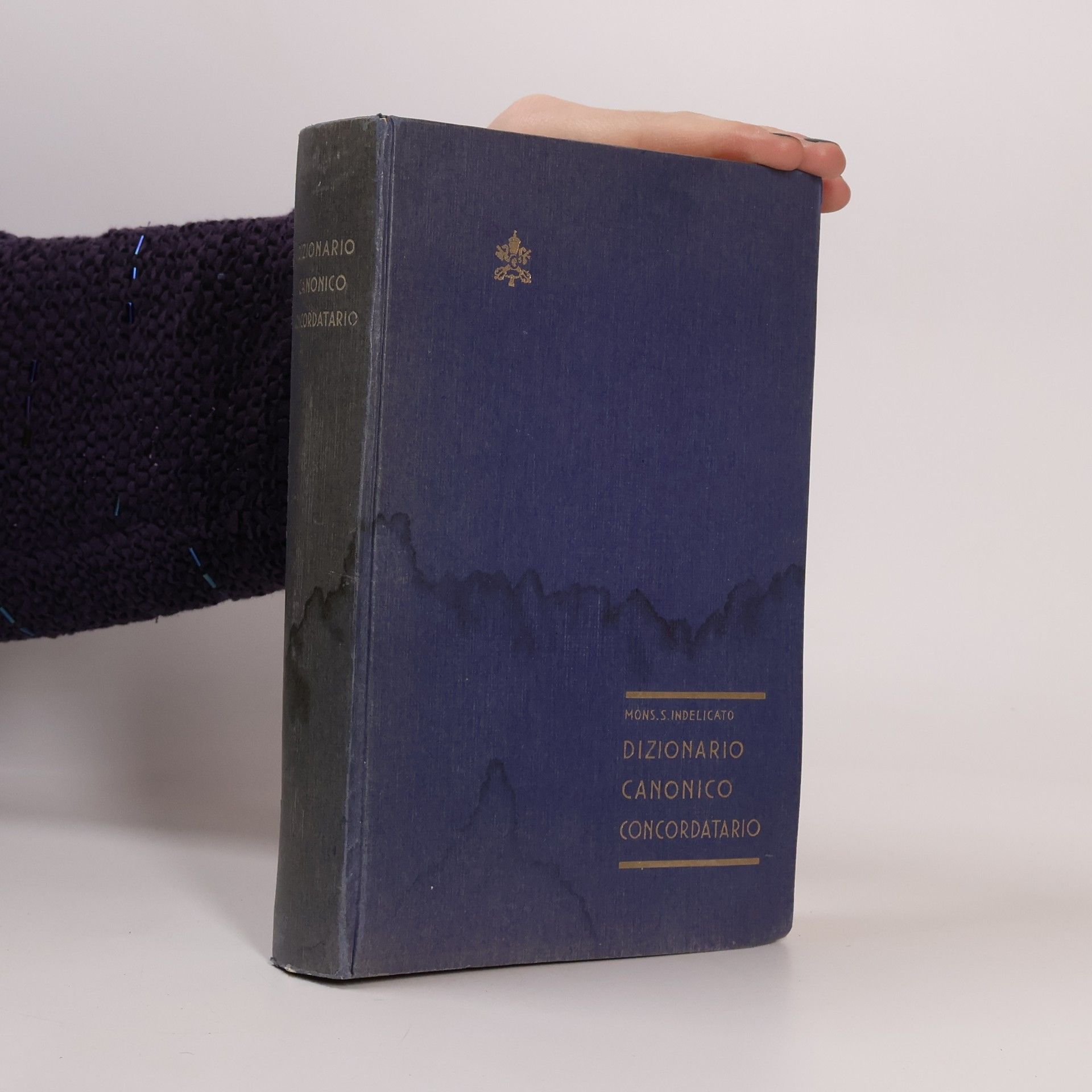 Salvatore Indelicato Dizionario canonico concordatario
