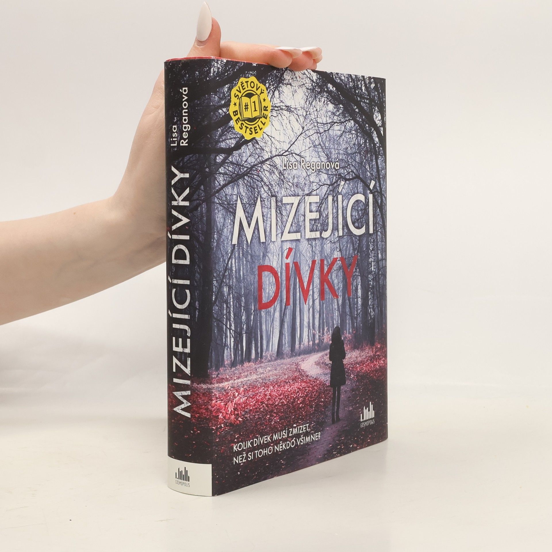 Lisa Regan Mizející dívky