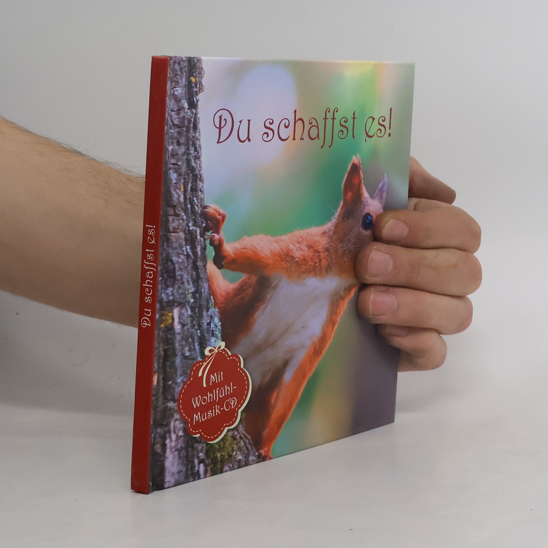 Autorenkollektiv Du Schaffst es!
