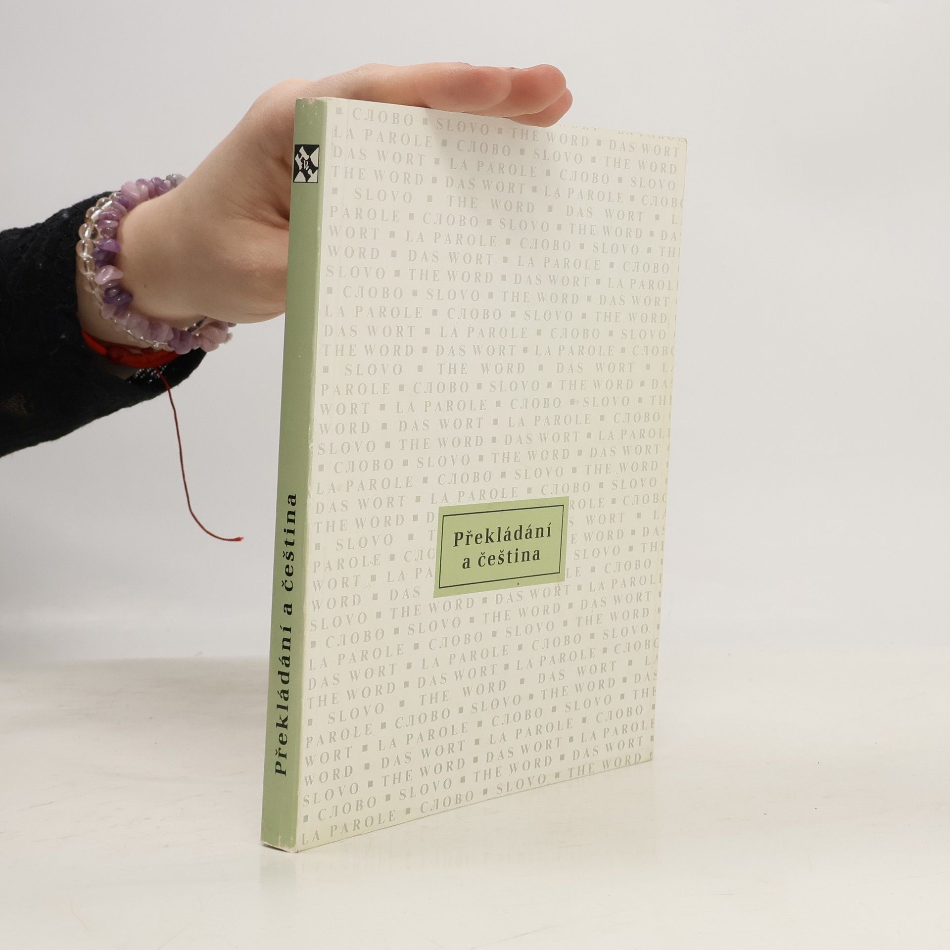 Autorenkollektiv Překládání a čeština