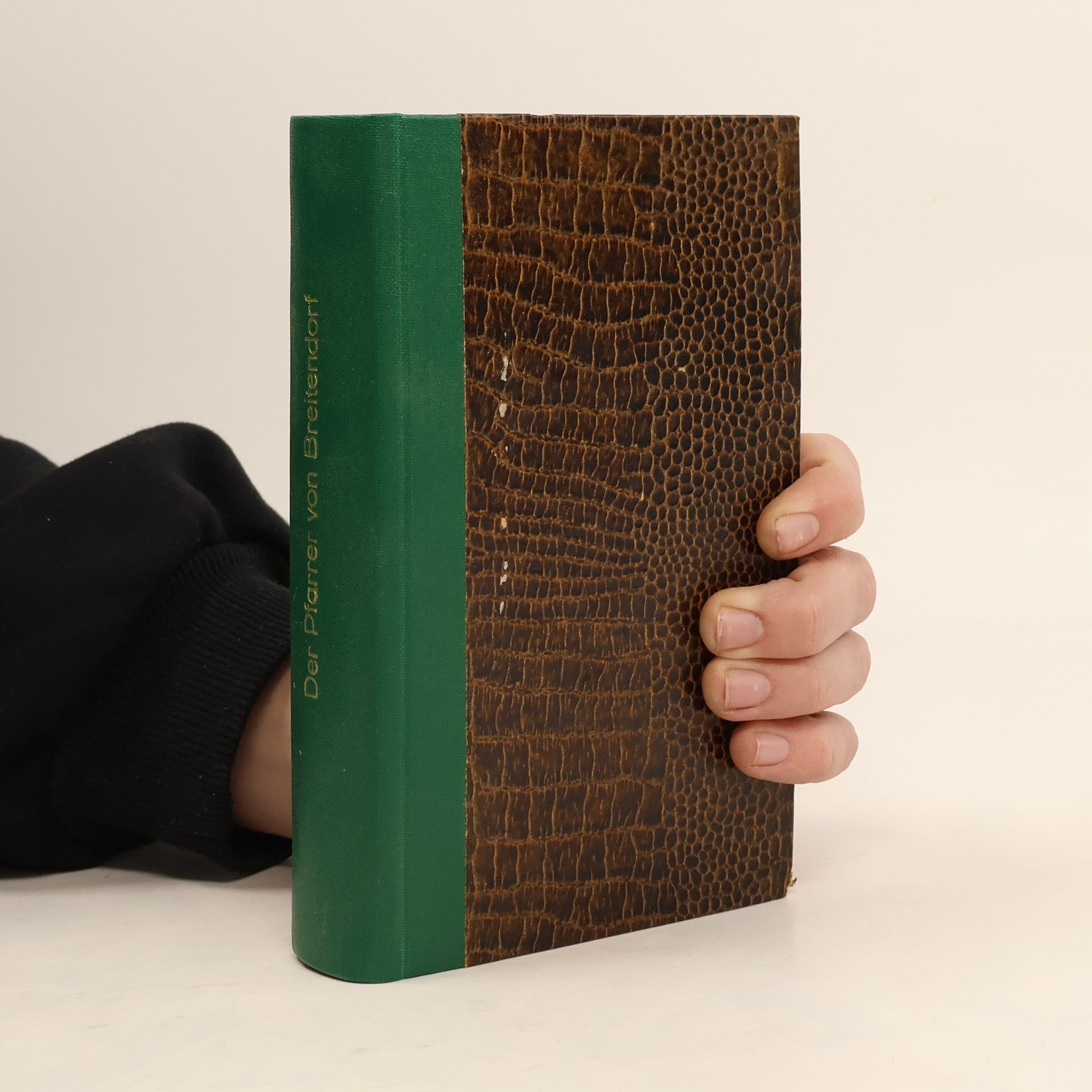 Wilhelm von Polenz Der Pfarrer von Breitendorf