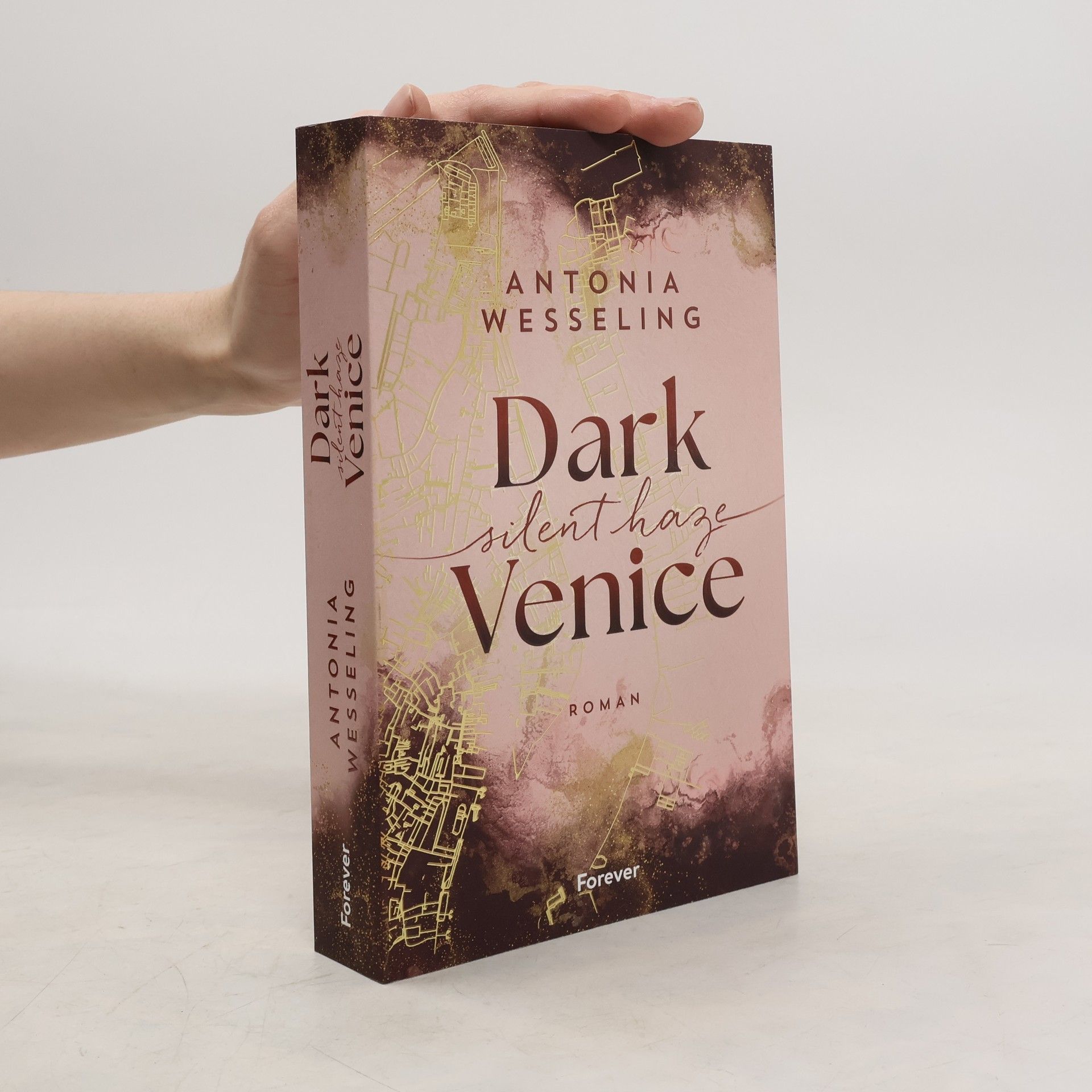 Antonia C. Wesseling Dark Venice. Silent Haze