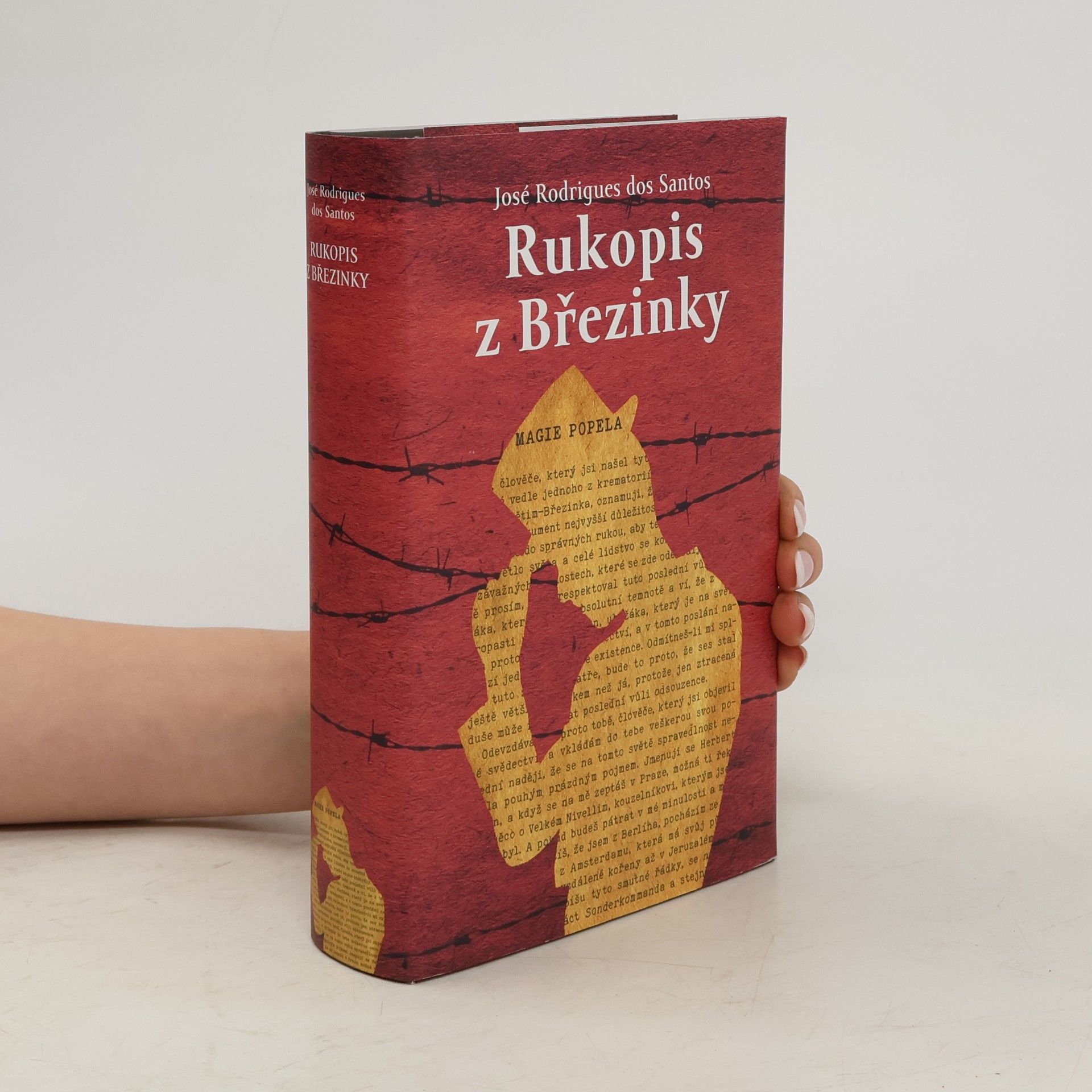 José Rodrigues dos Santos Rukopis z Březinky