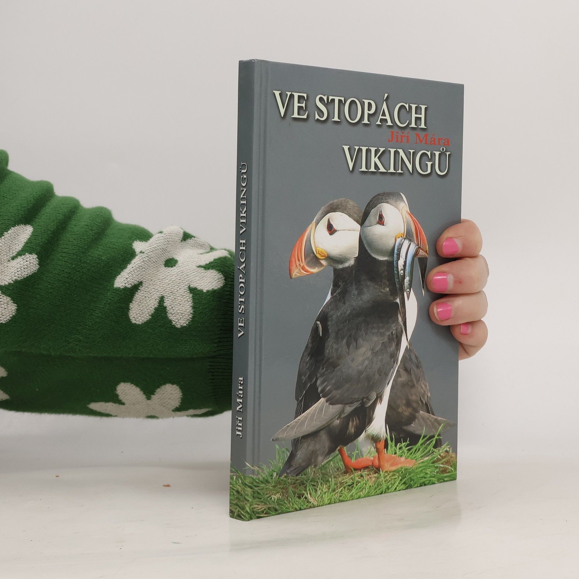 Jiří Mára Ve stopách Vikingů