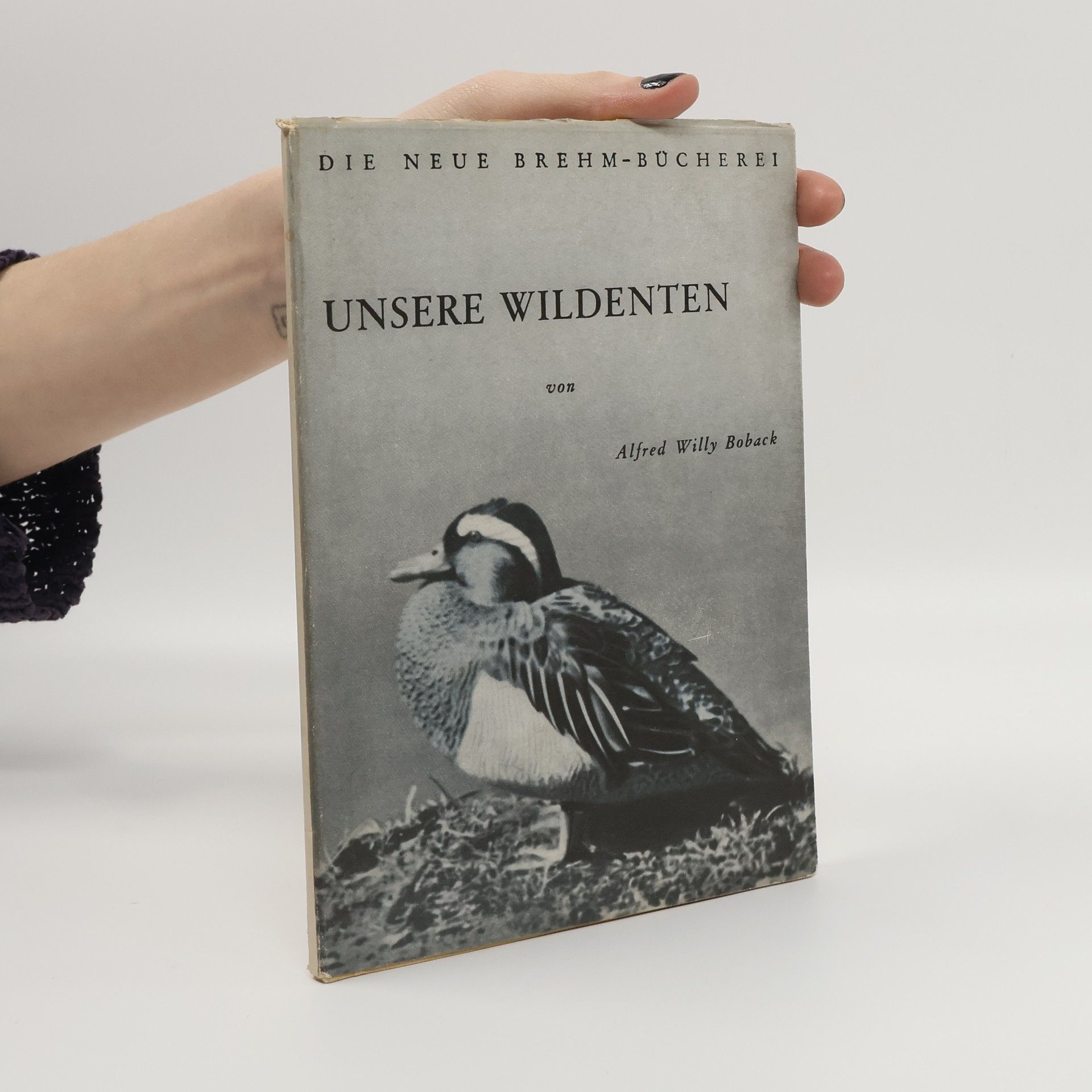 Alfred Willy Boback Unsere Wildenten