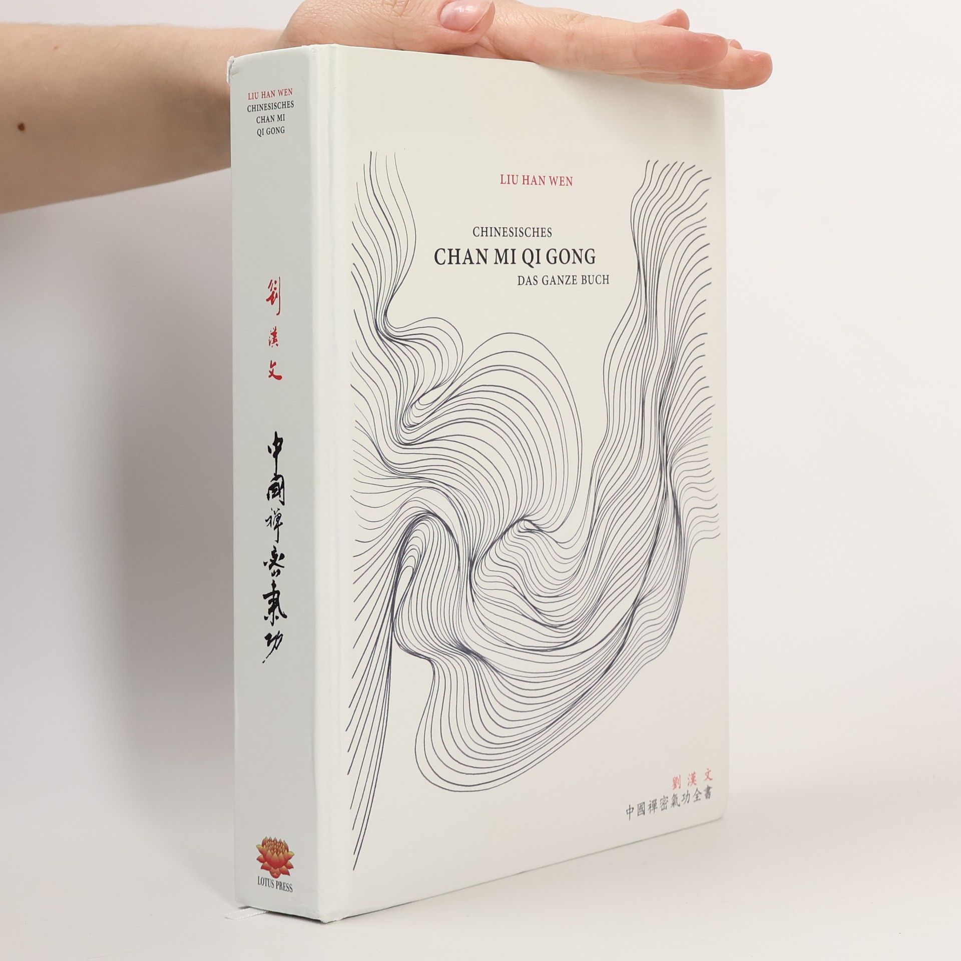 Han Wen Liu Chinesisches Chan Mi Qi Gong