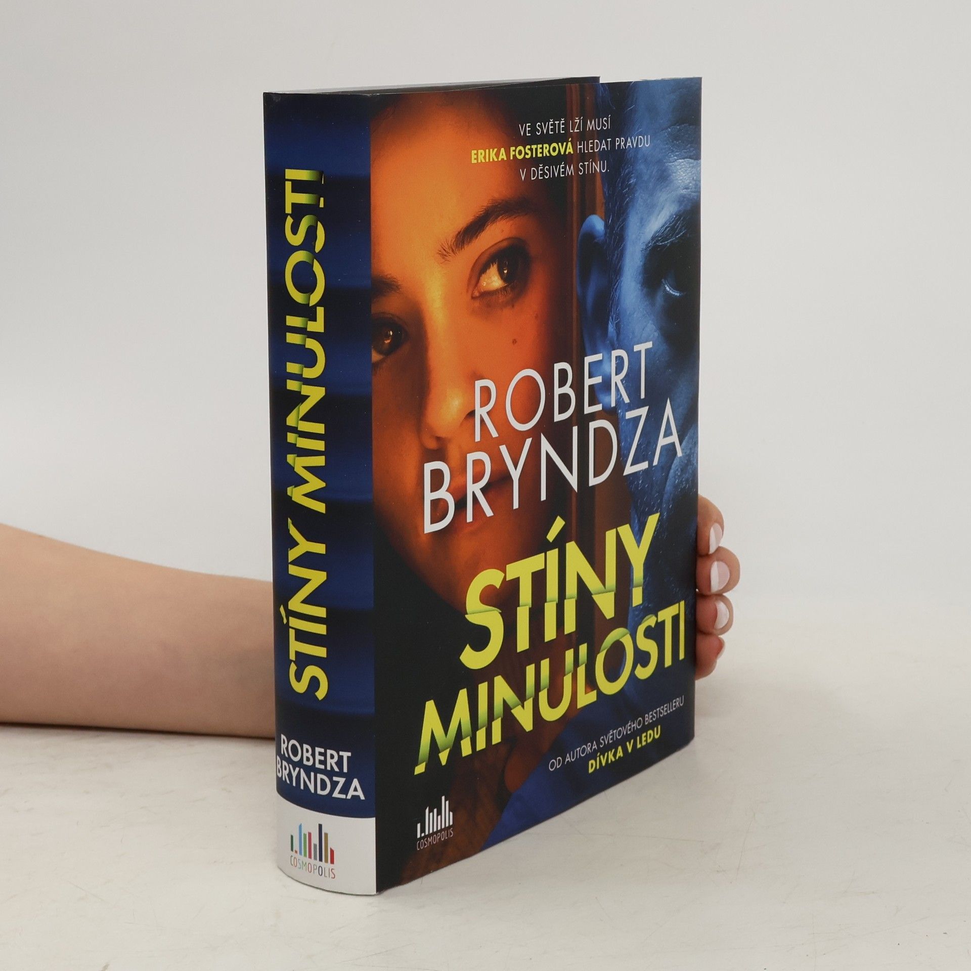 Robert Bryndza Stíny minulosti