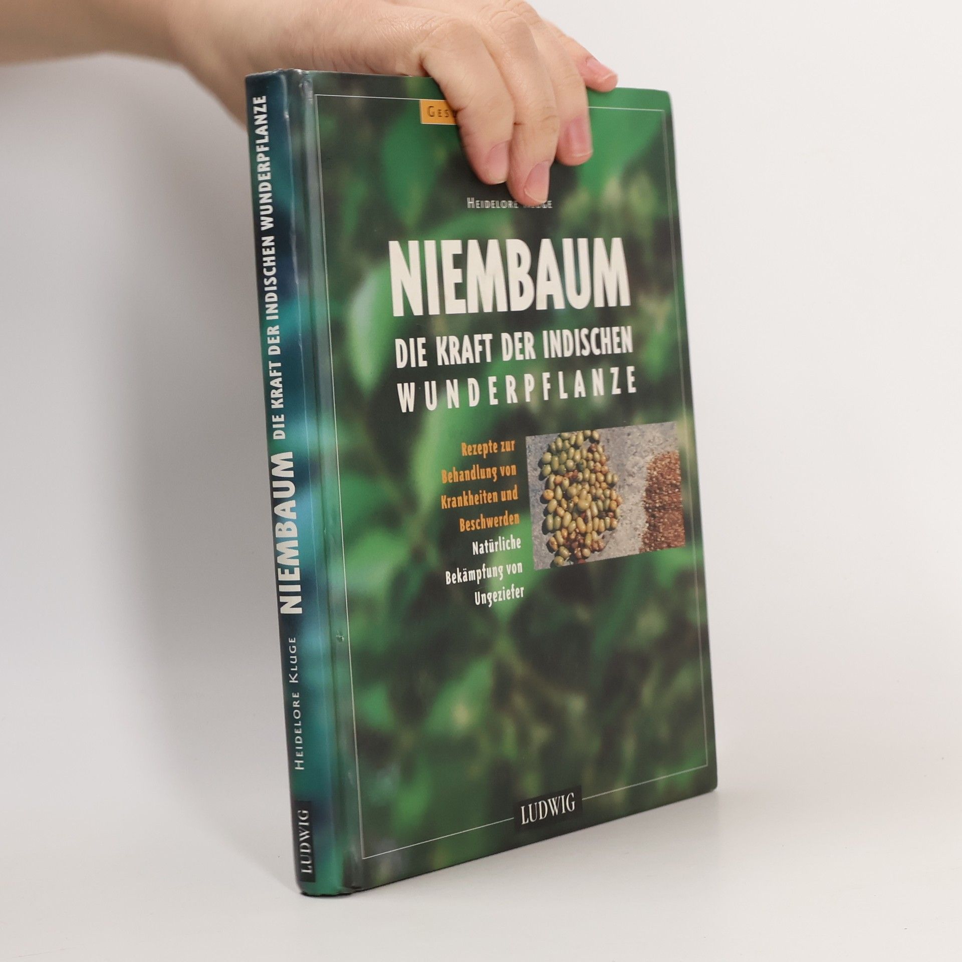 Heidelore Kluge Niembaum