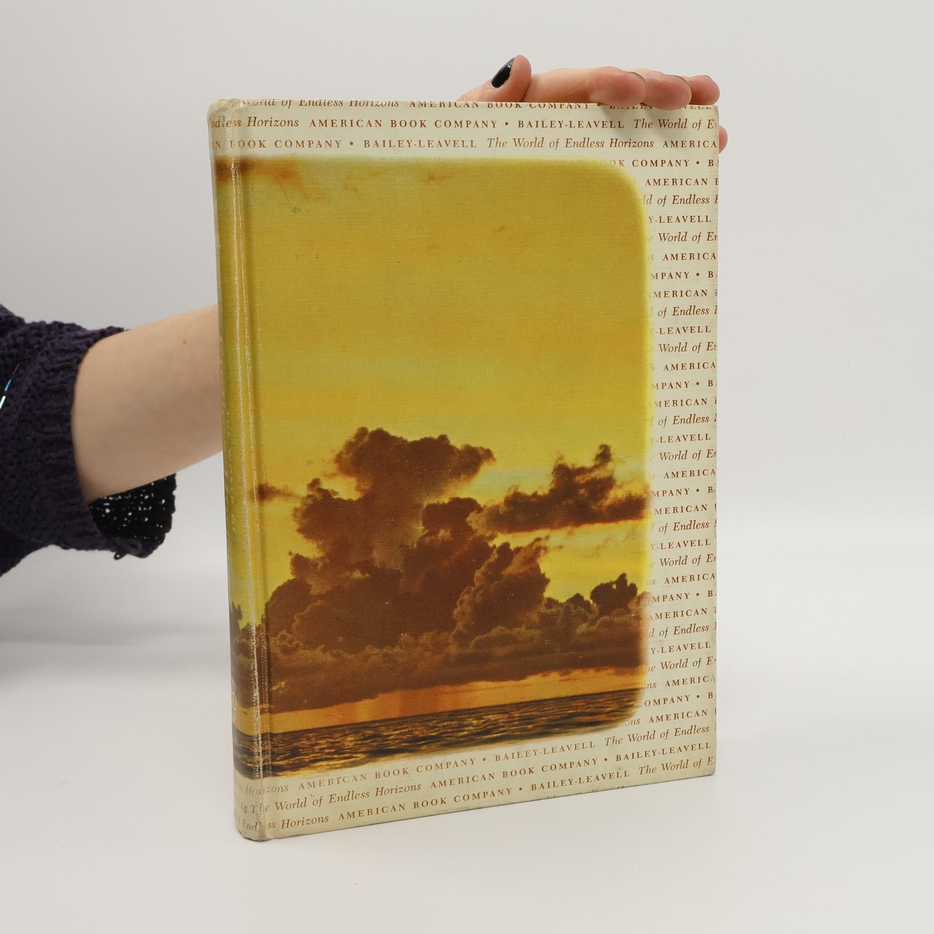 Matilda Bailey The World of Endless Horizons