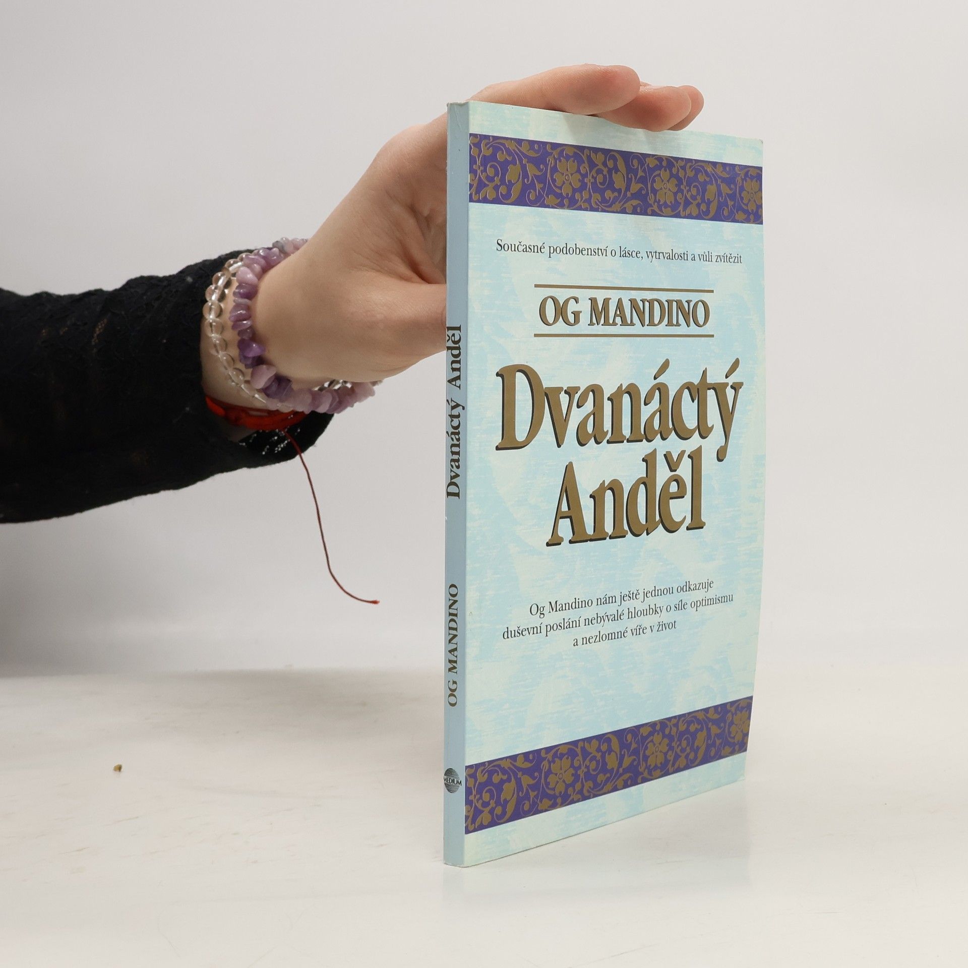 Drahomíra Hajtmarová Dvanáctý anděl