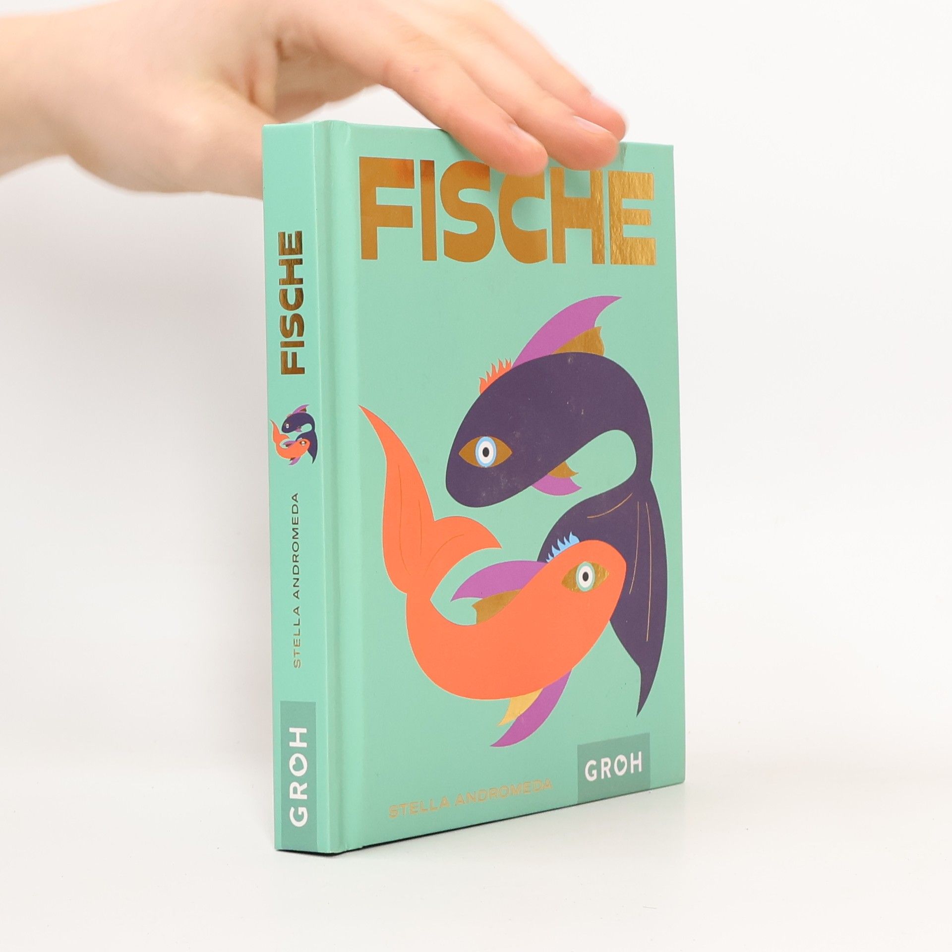 Stella Andromeda Fische