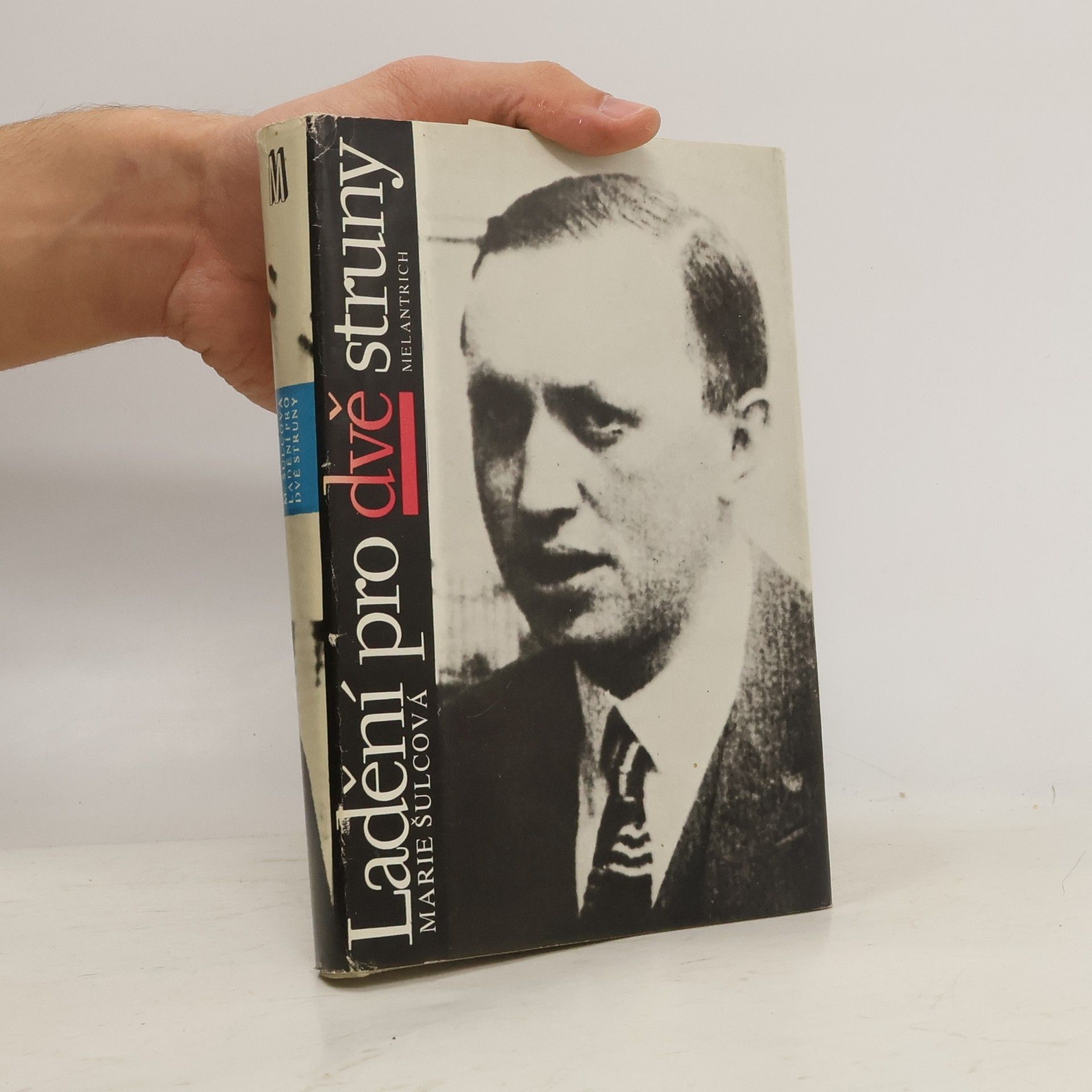 Marie Šulcová Ladění pro dvě struny