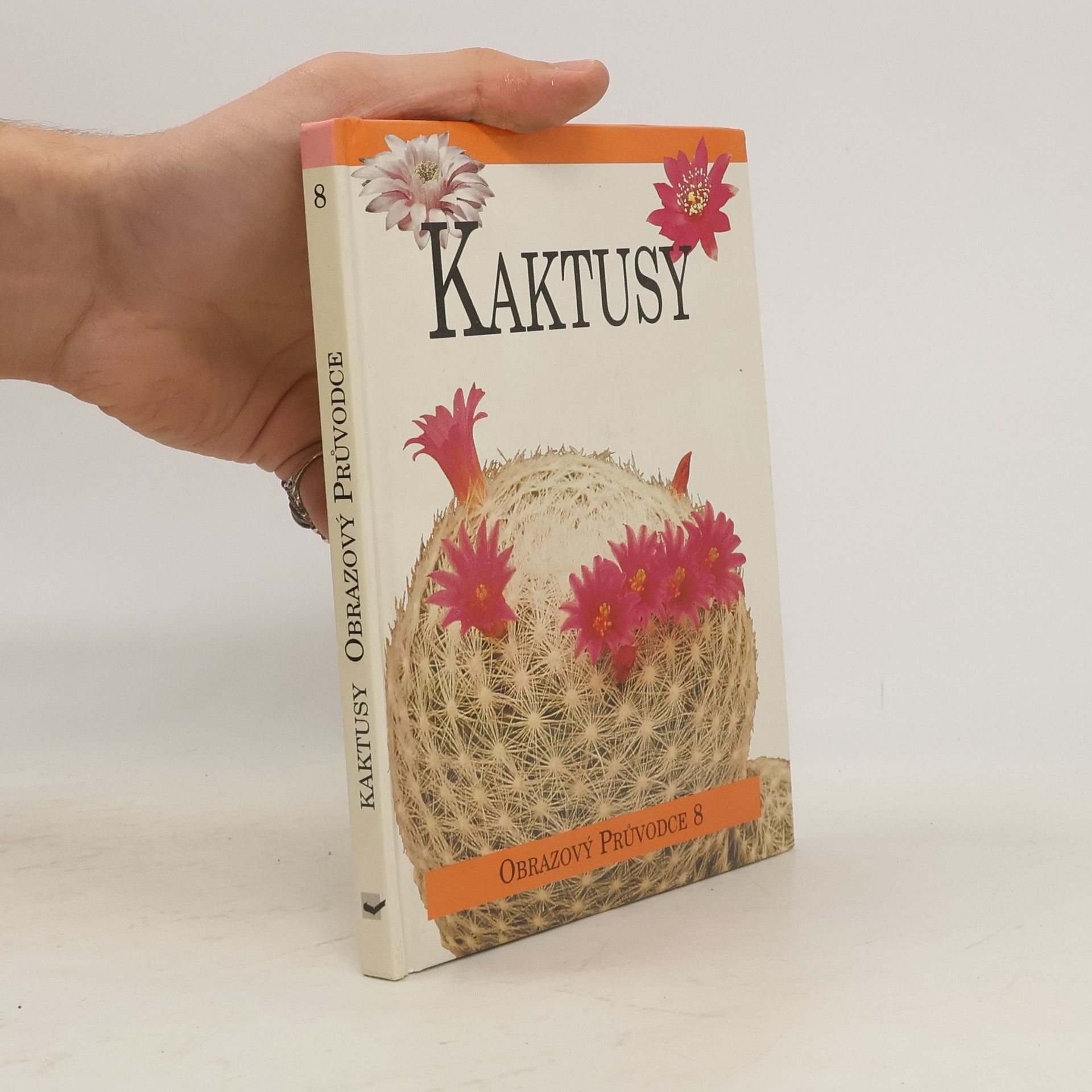 Lukáš Fischer Kaktusy