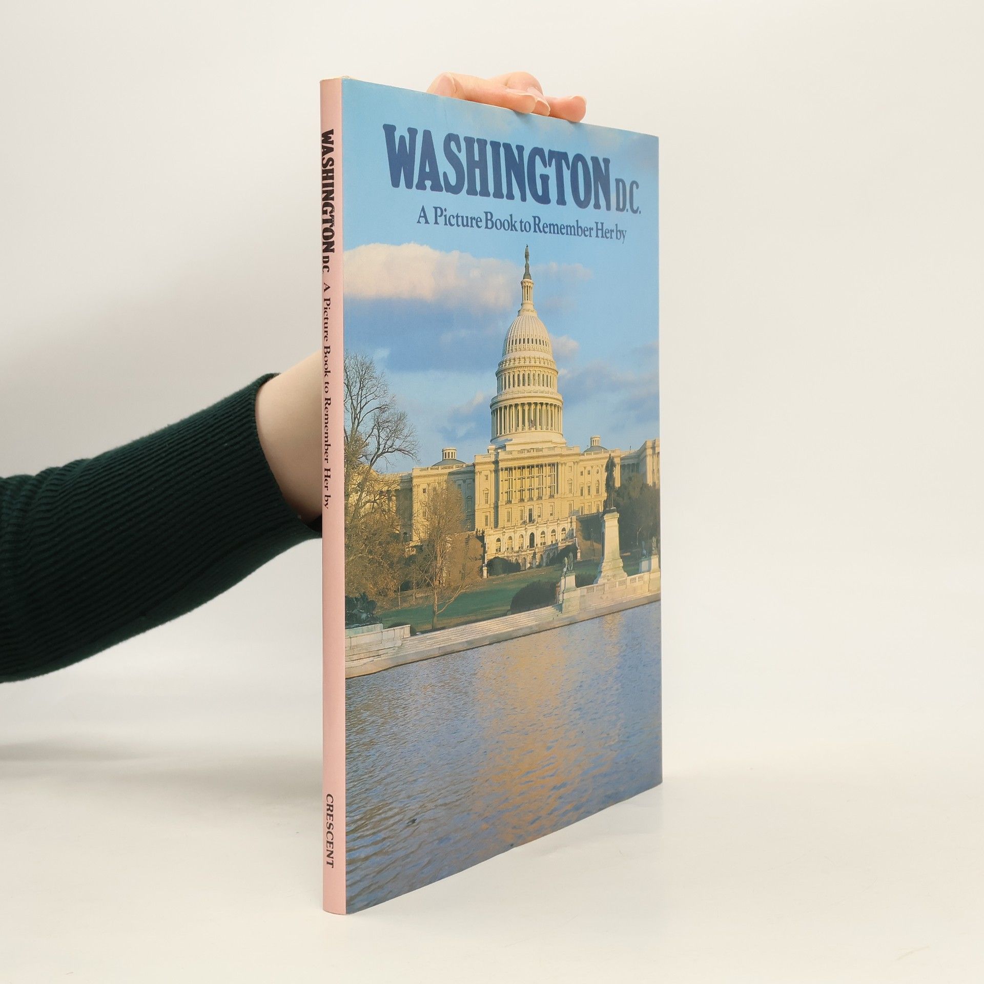 Ted Smart Washington : a picture book to remember her by