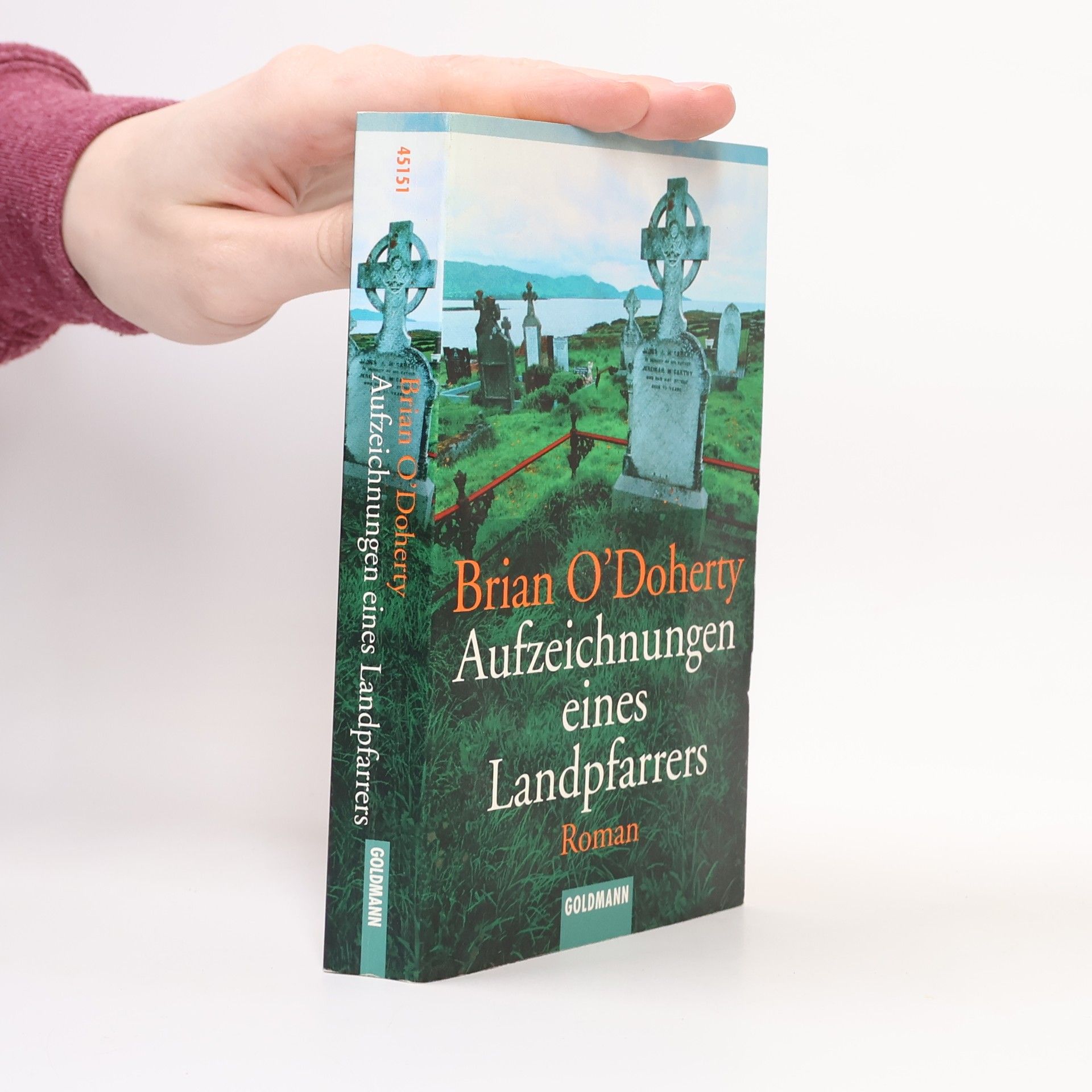 Brian O'Doherty Aufzeichnungen eines Landpfarrers