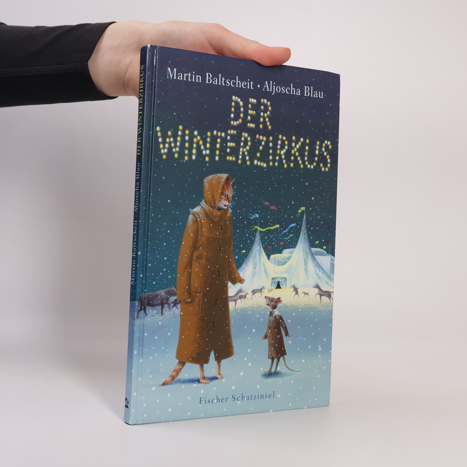 Martin Baltscheit Der Winterzirkus