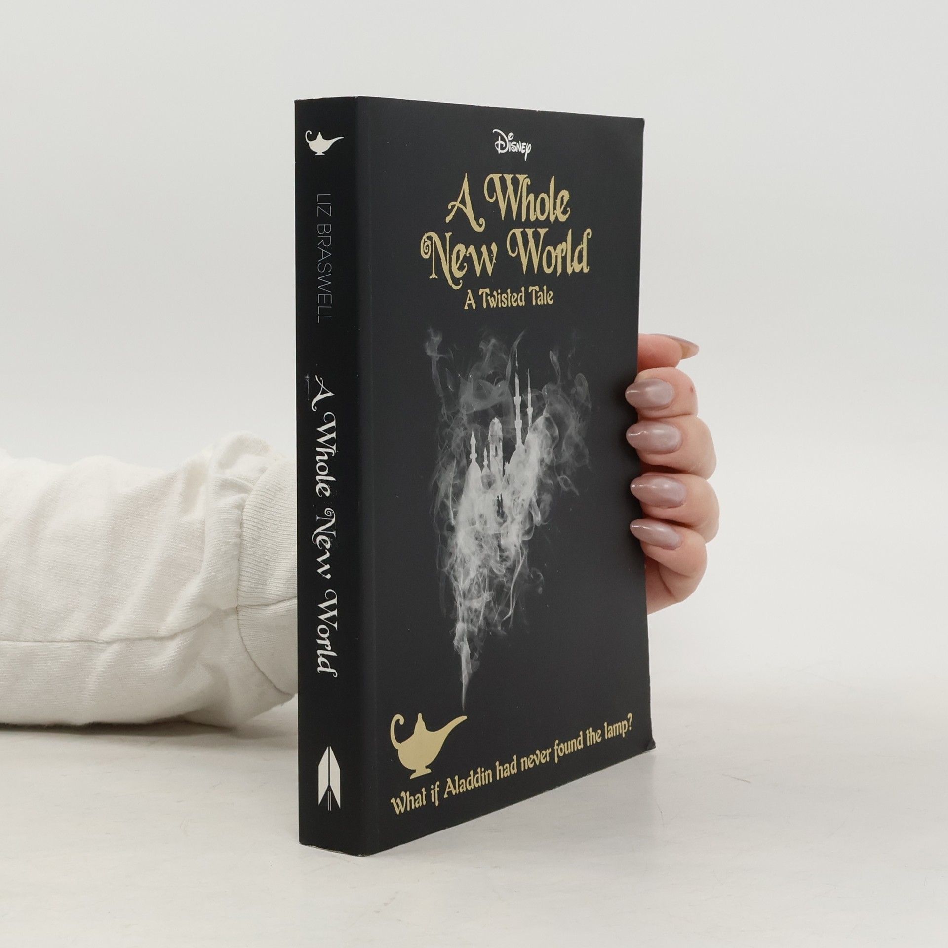 Liz Braswell A Whole New World