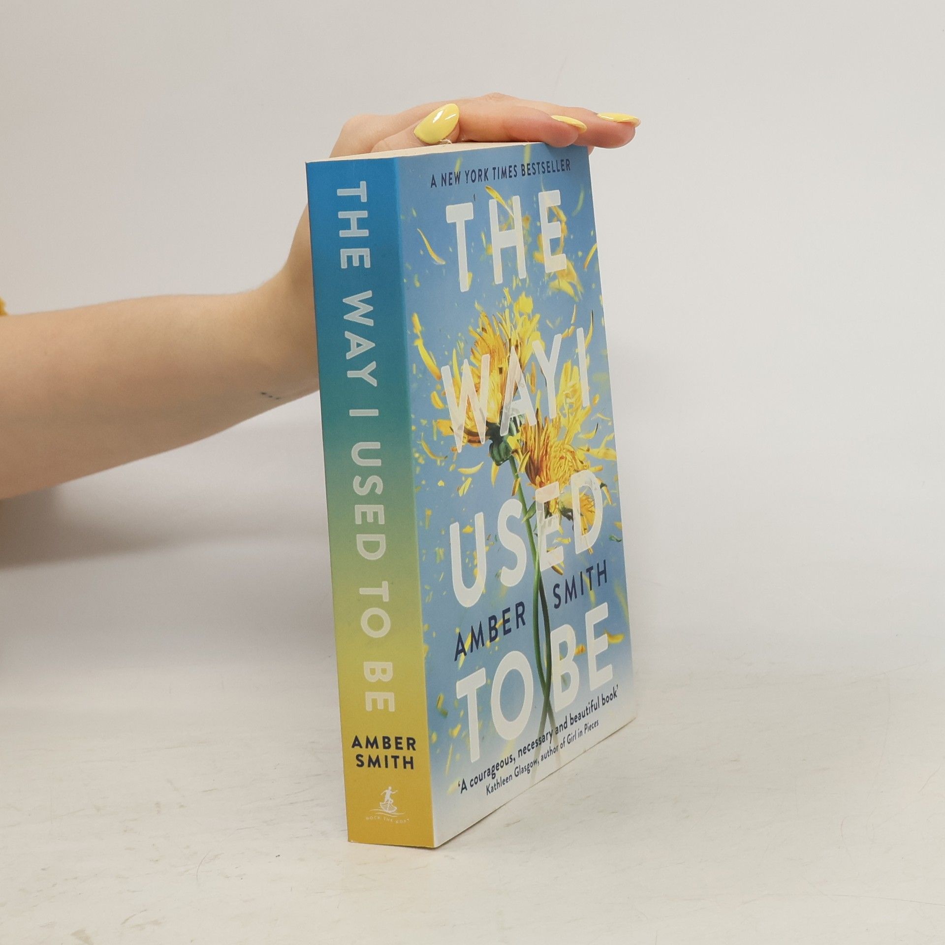 Amber Smith The Way I Used to Be