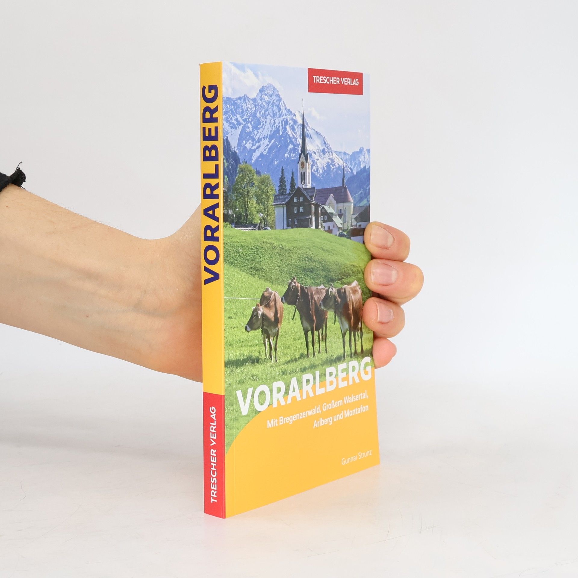 Gunnar Strunz Reiseführer Vorarlberg