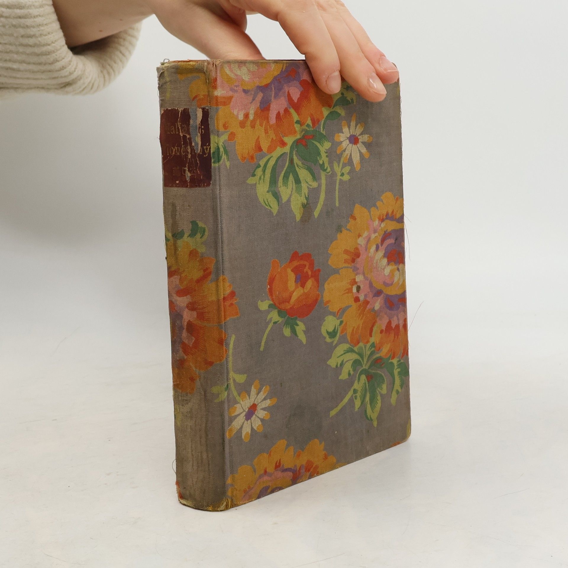 Edgar Wallace Zlověstný muž