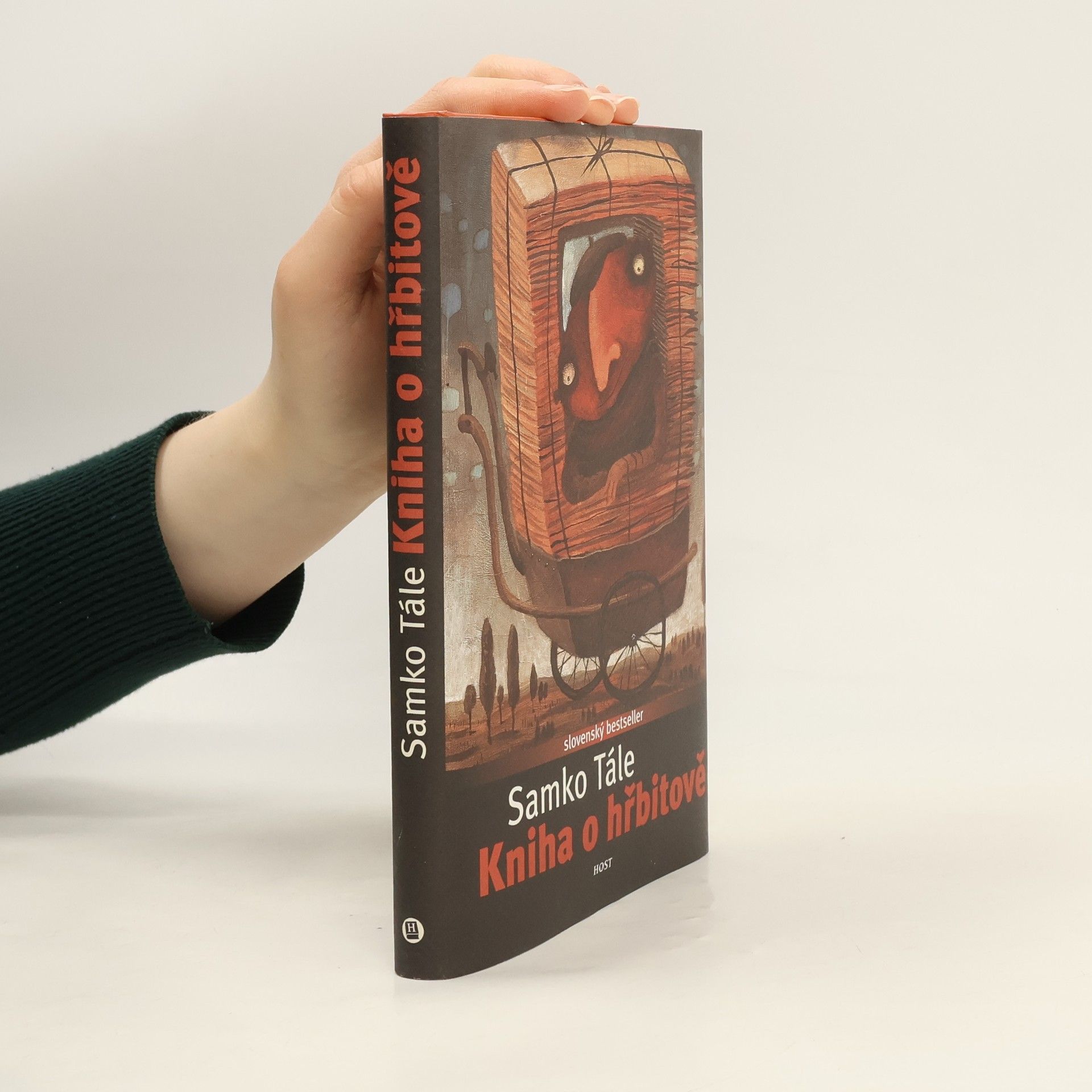 Daniela Kapitáňová Kniha o hřbitově