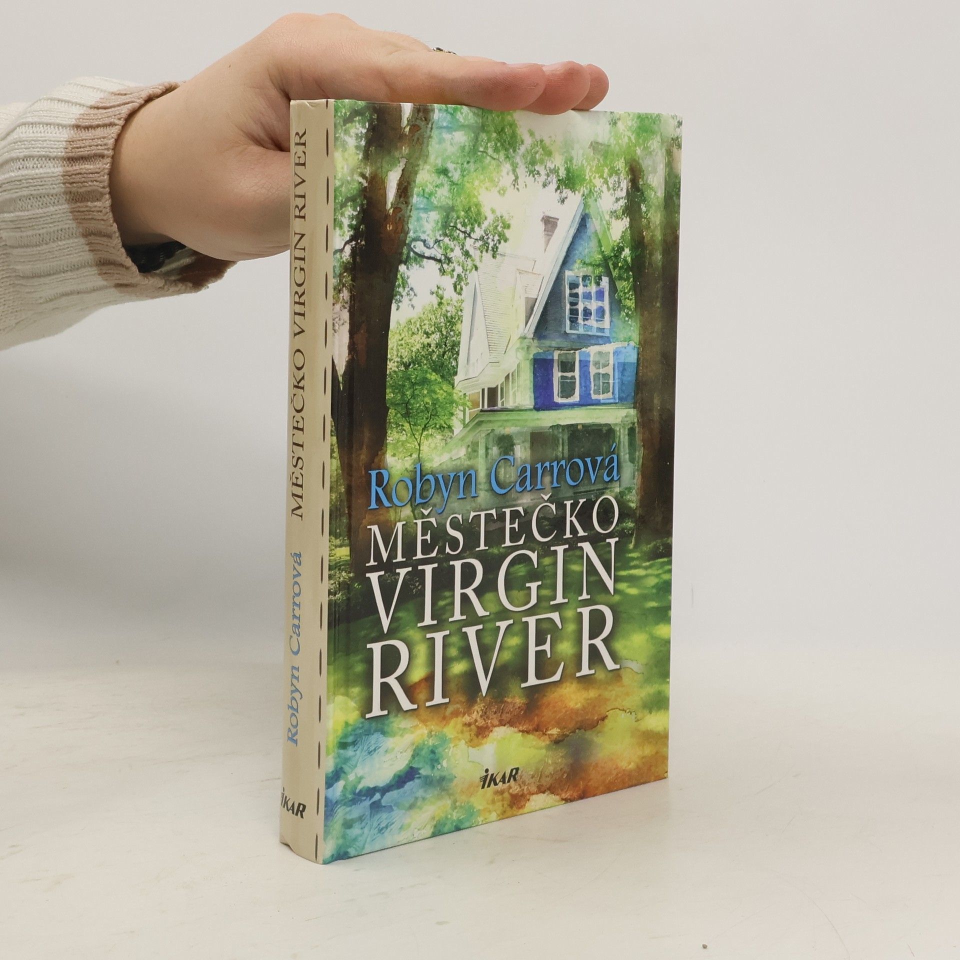 Robyn Carr Městečko Virgin River