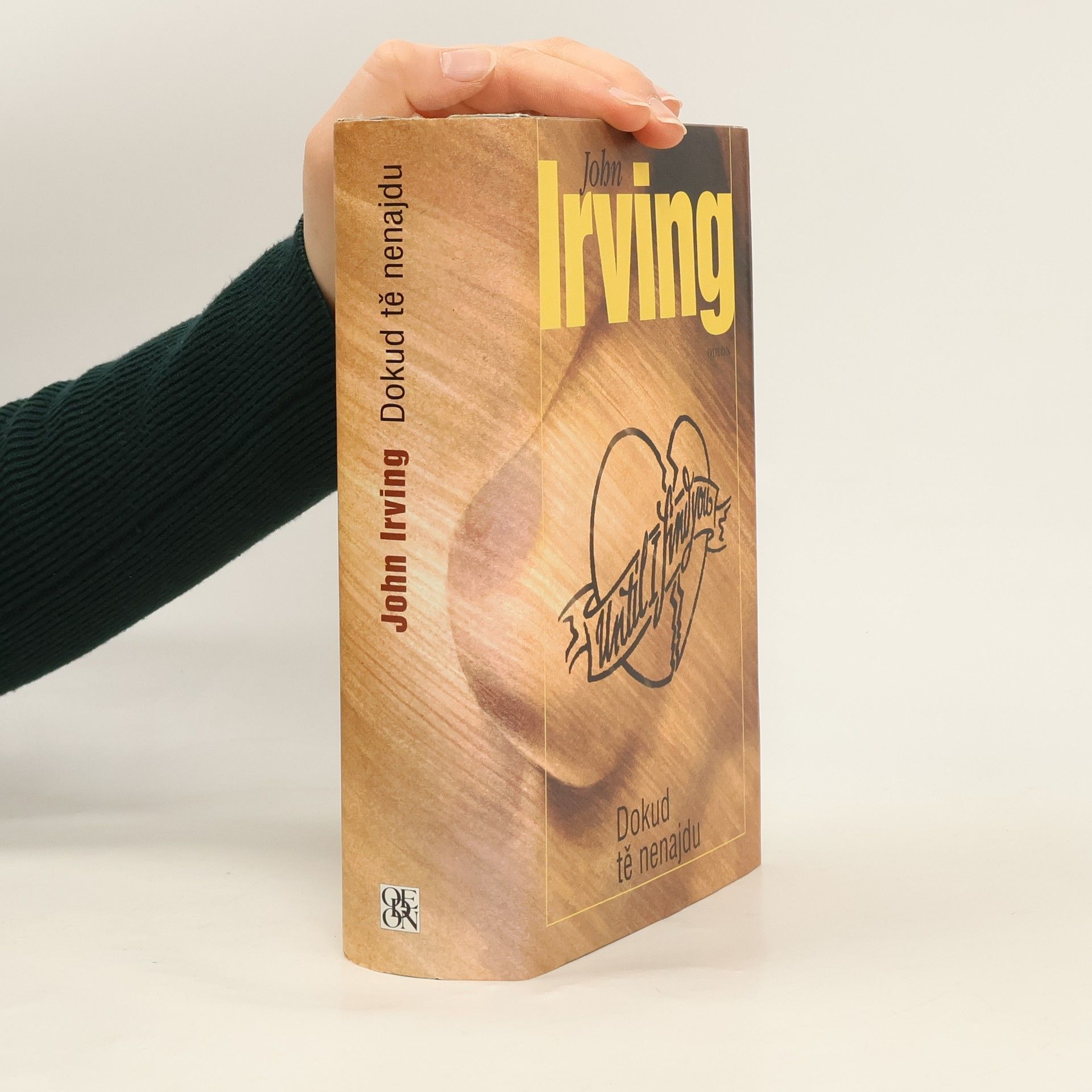 John Irving Dokud tě nenajdu