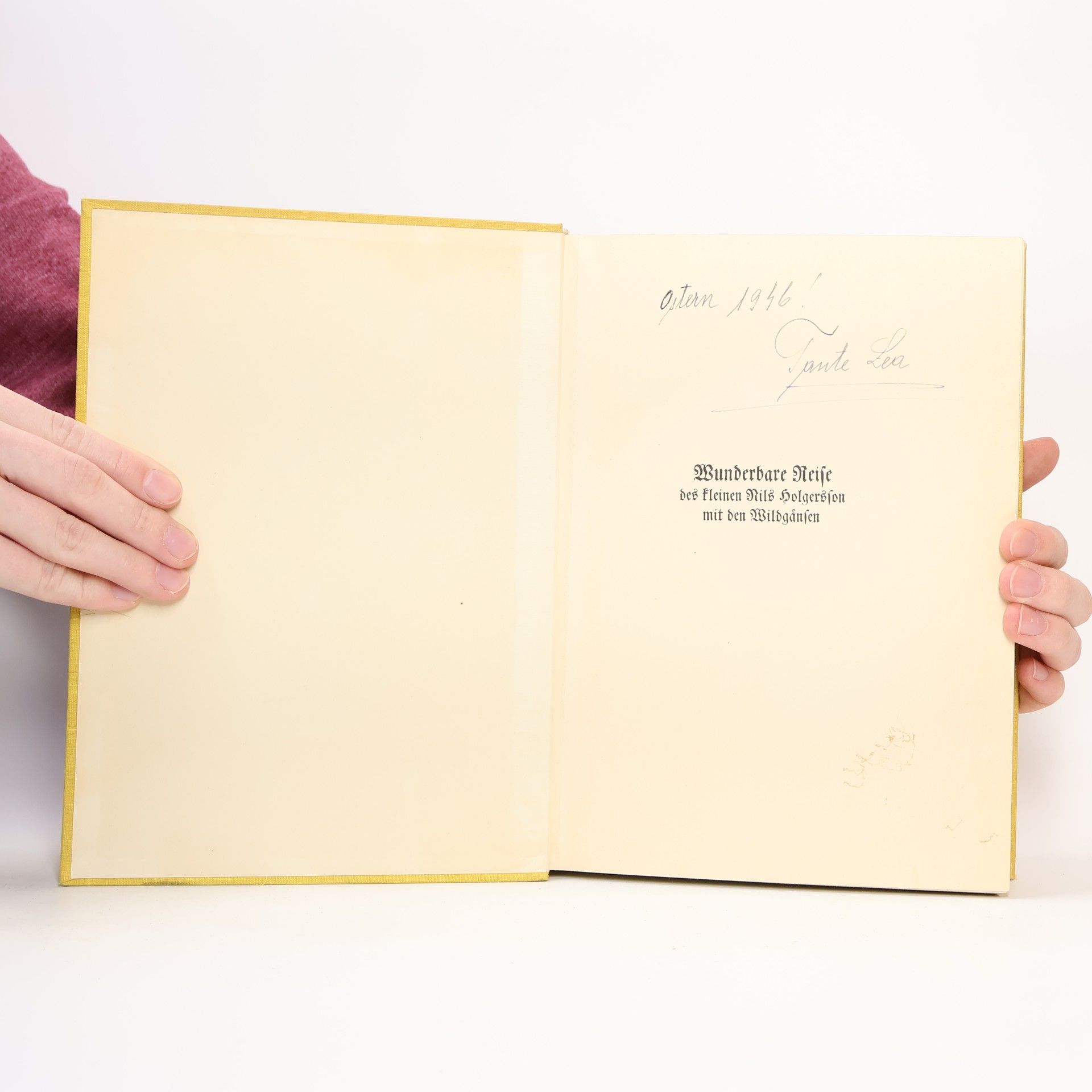 Selma Lagerlöf Wunderbare Reise. Des kleinen Nils Holgersson mit den Wildgänsen