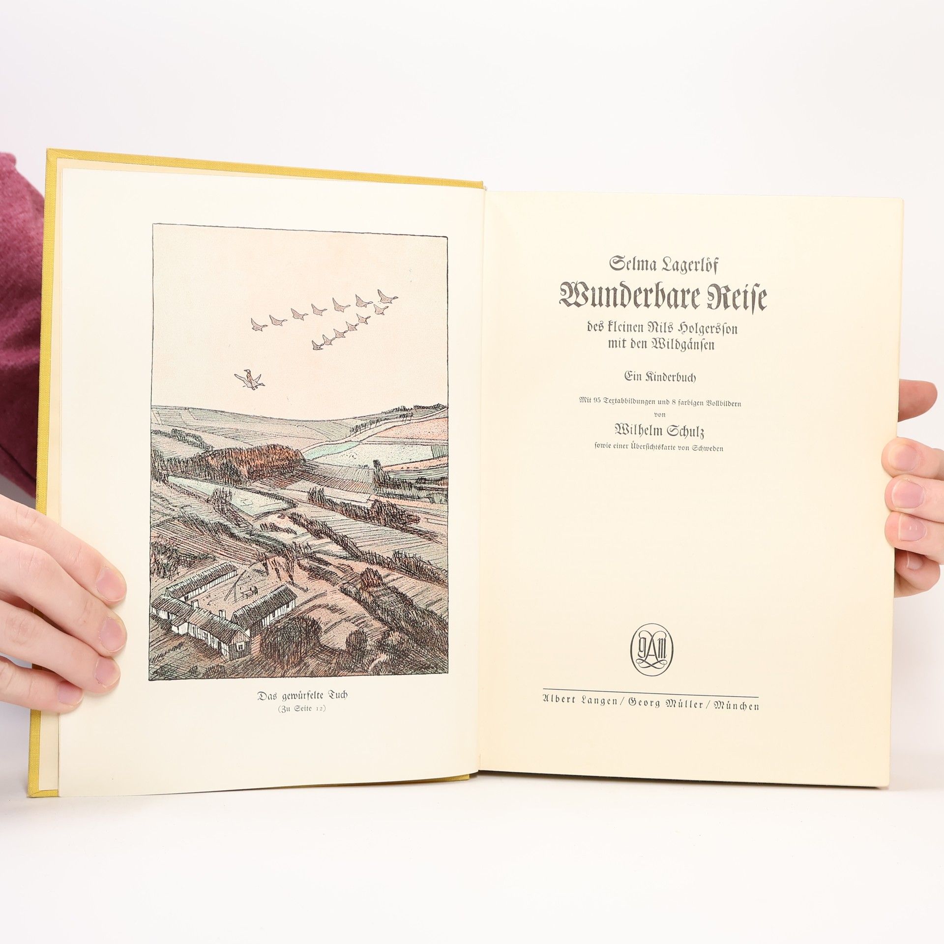 Selma Lagerlöf Wunderbare Reise. Des kleinen Nils Holgersson mit den Wildgänsen