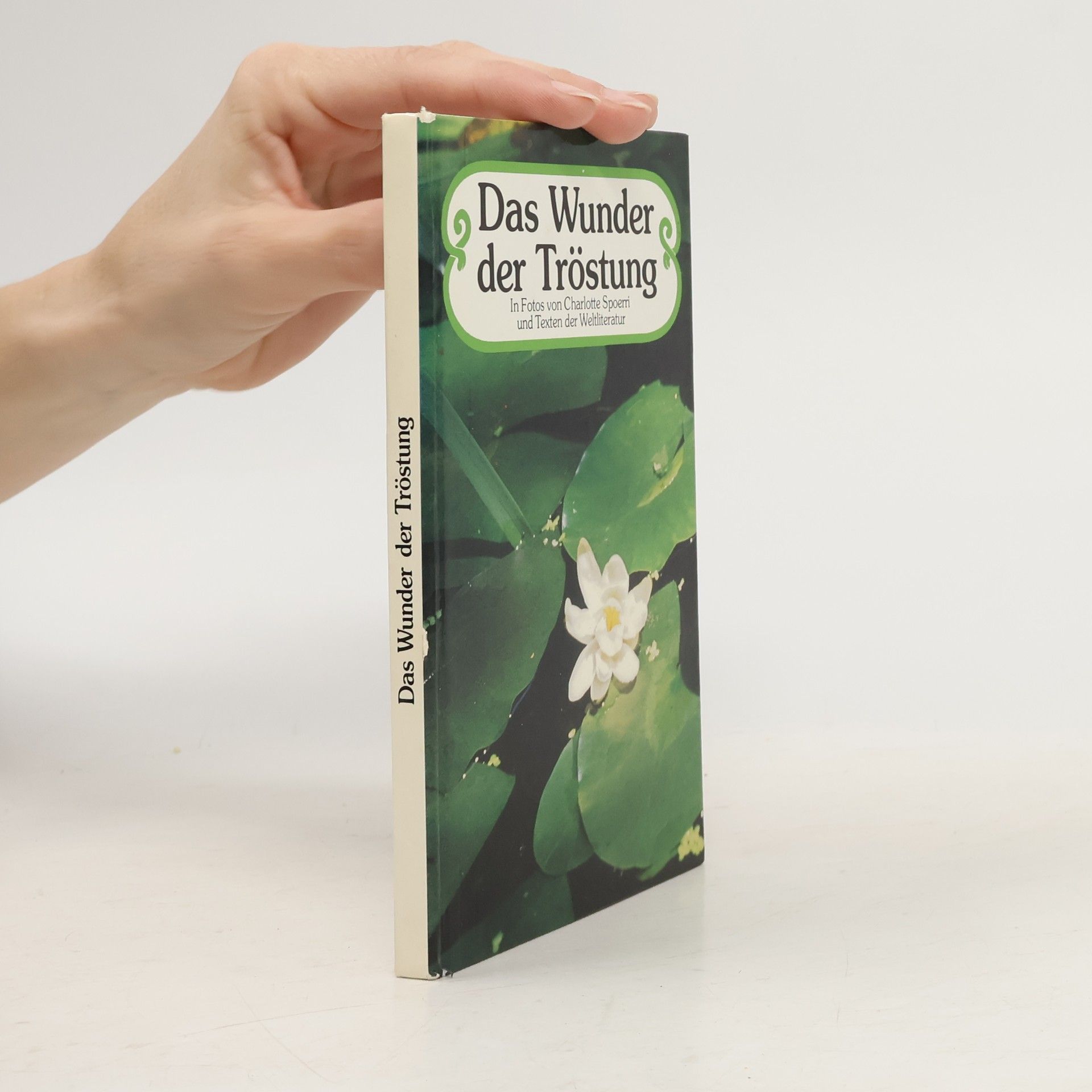 Charlotte Spoerri Das Wunder der Tröstung