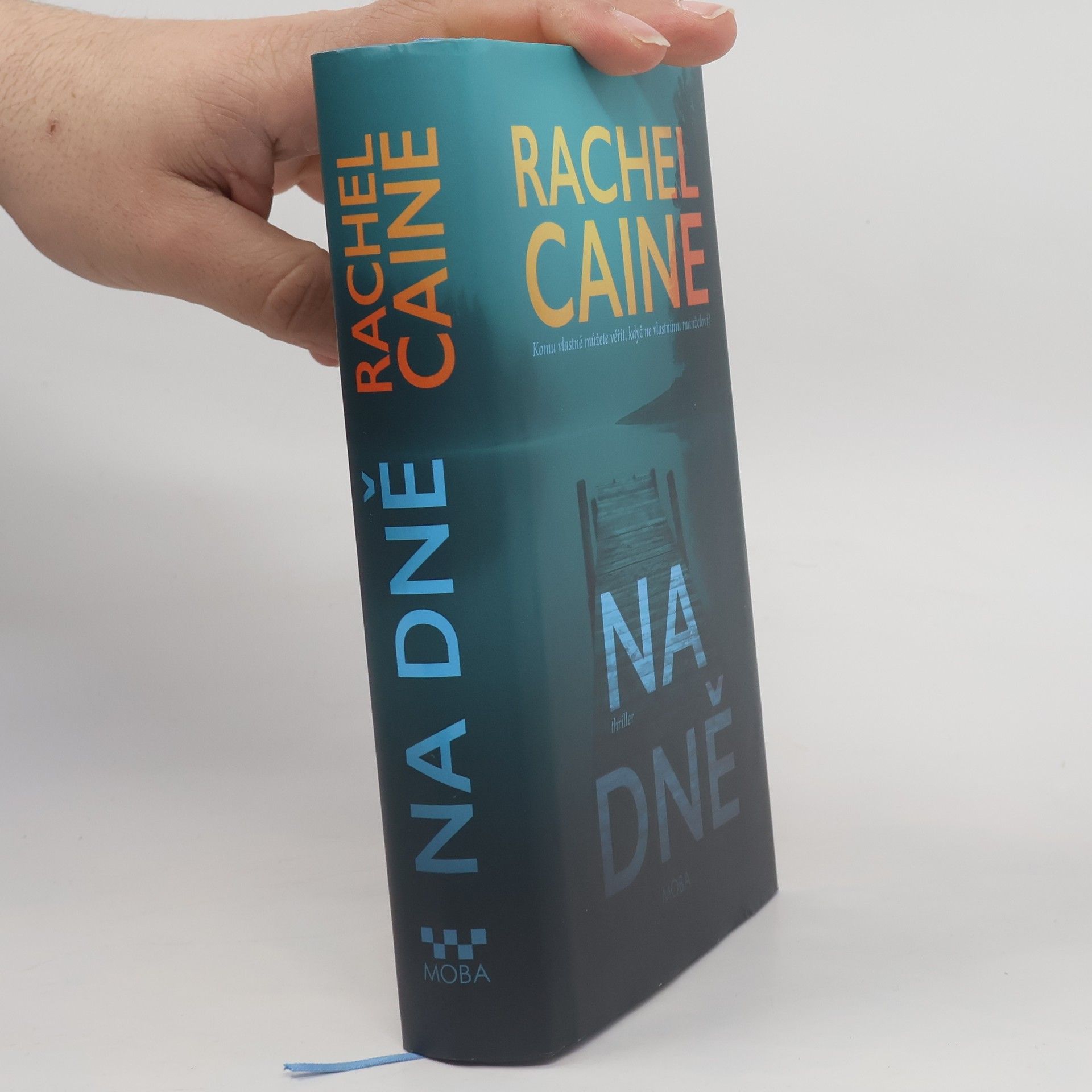 Rachel Caine Na dně