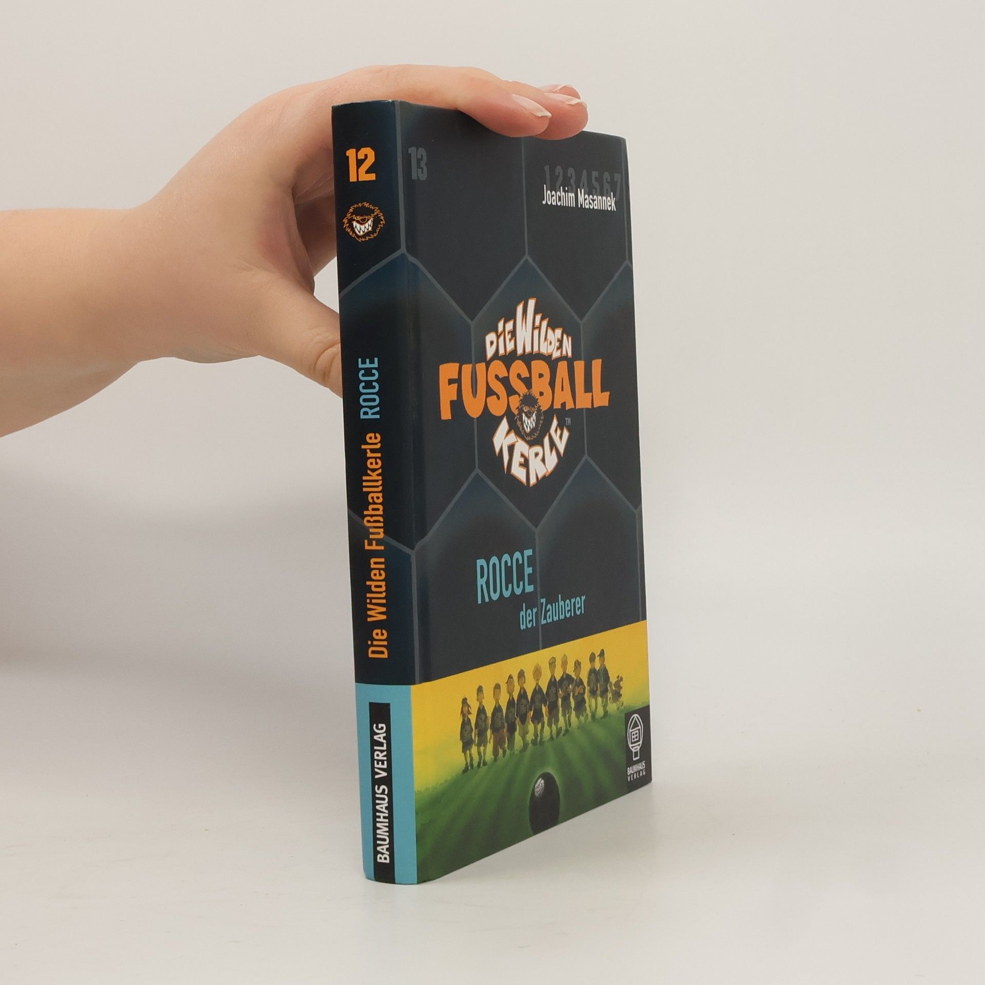 Die wilden Fußballkerle 12