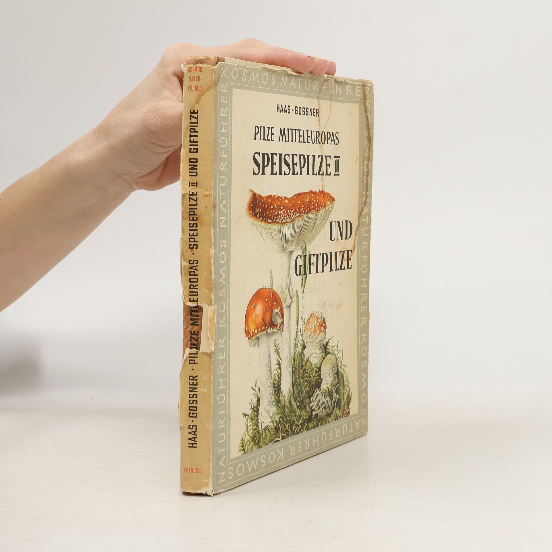 Hans Haas Pilze Mitteleuropas. Speisepilze II und Giftpilze