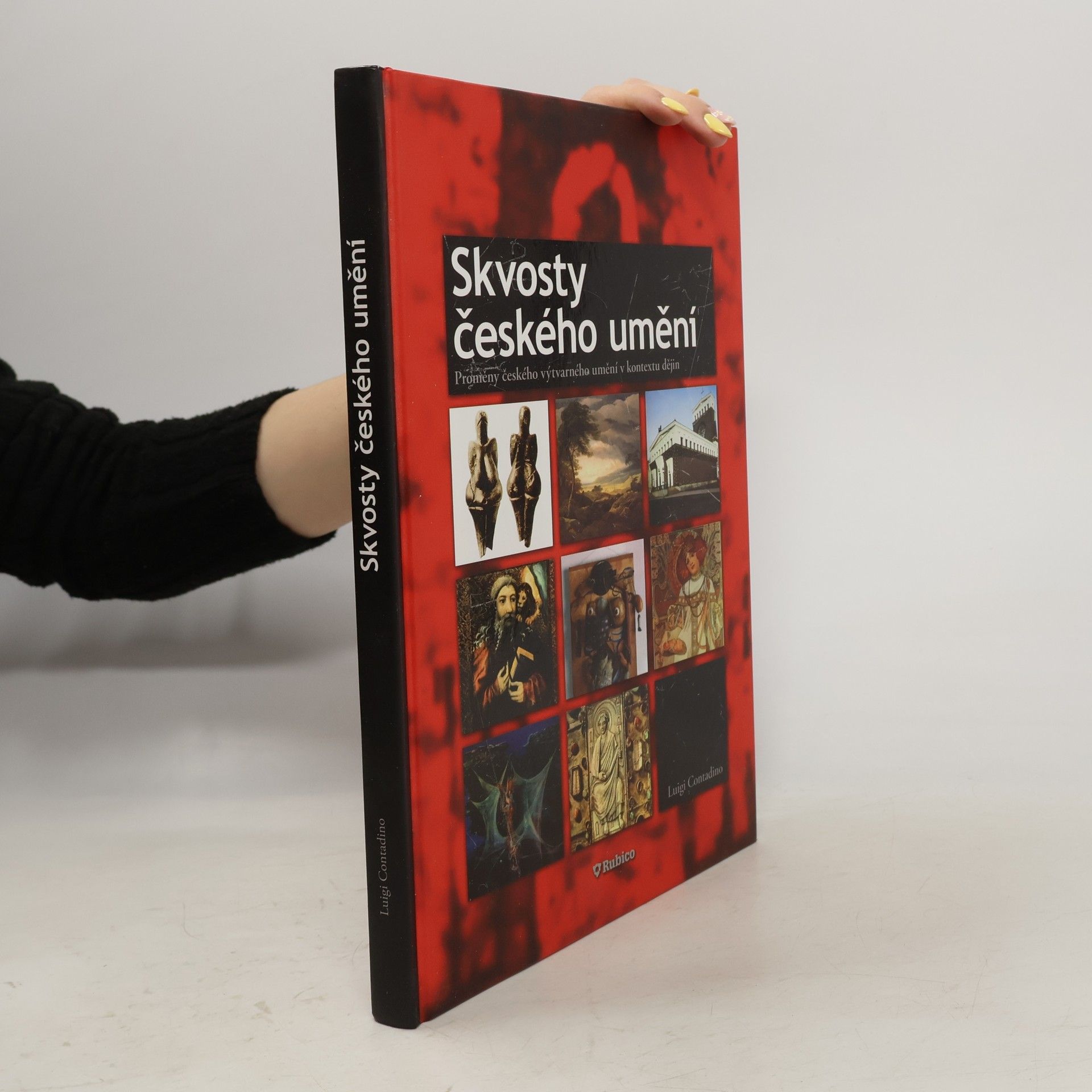 Luigi Contadino Skvosty českého umění : proměny českého výtvarného umění v kontextu dějin