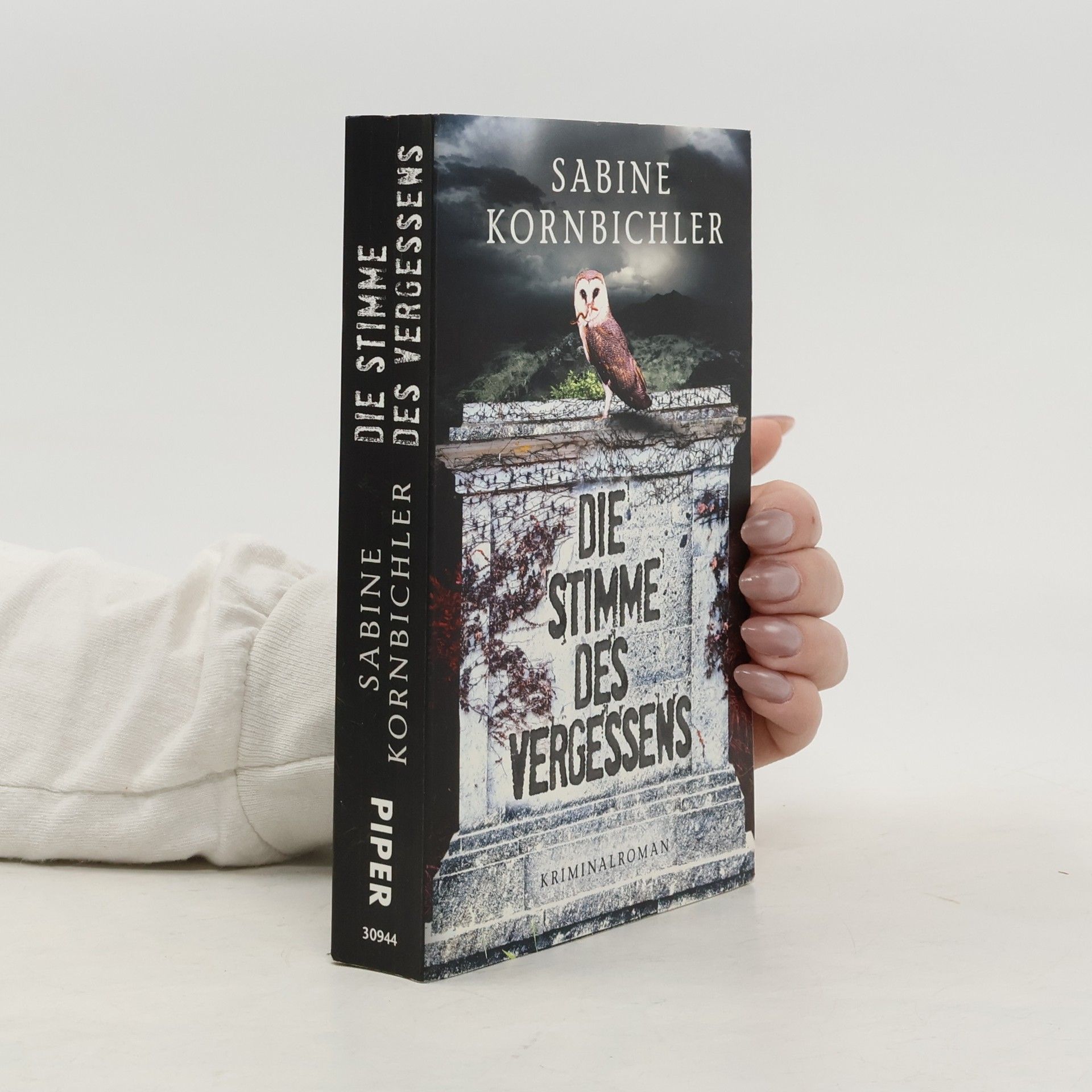 Sabine Kornbichler Die Stimme des Vergessens